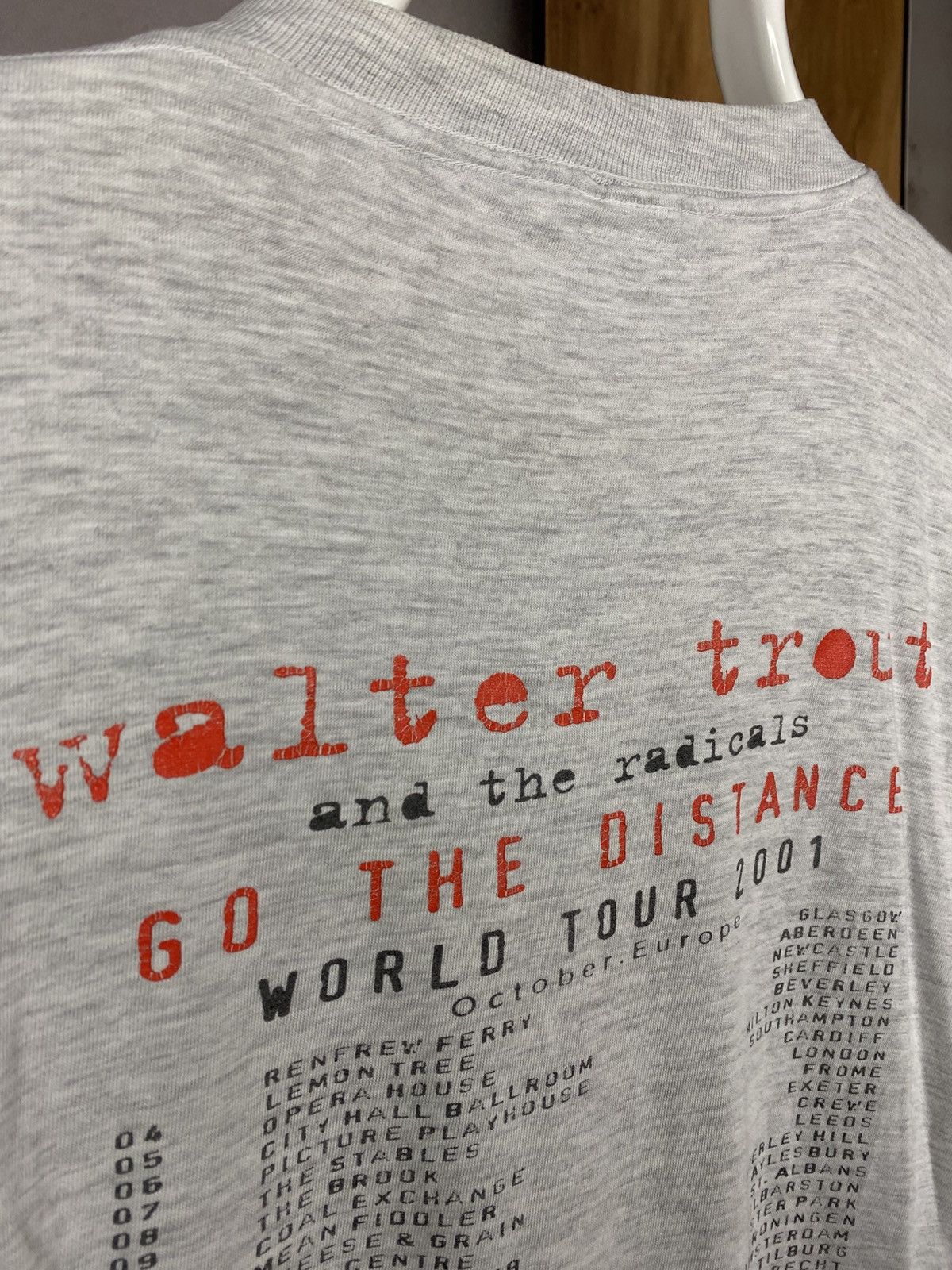 Band Tees 🎸Vintage Walter Trout 2001 The Radicals Go The Distance Tee🎸 Size US L / EU 52-54 / 3 - 11 Thumbnail