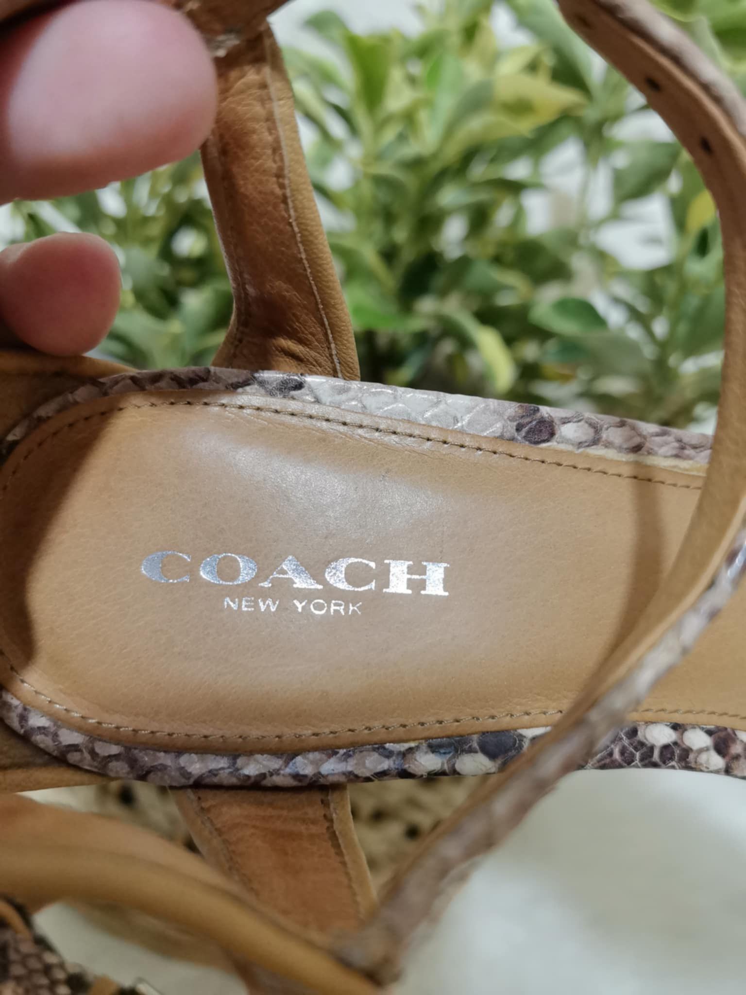 Coach ORIGINAL COACH SNAKESKIN PUMPS Size US 8 / IT 38 - 7 Thumbnail