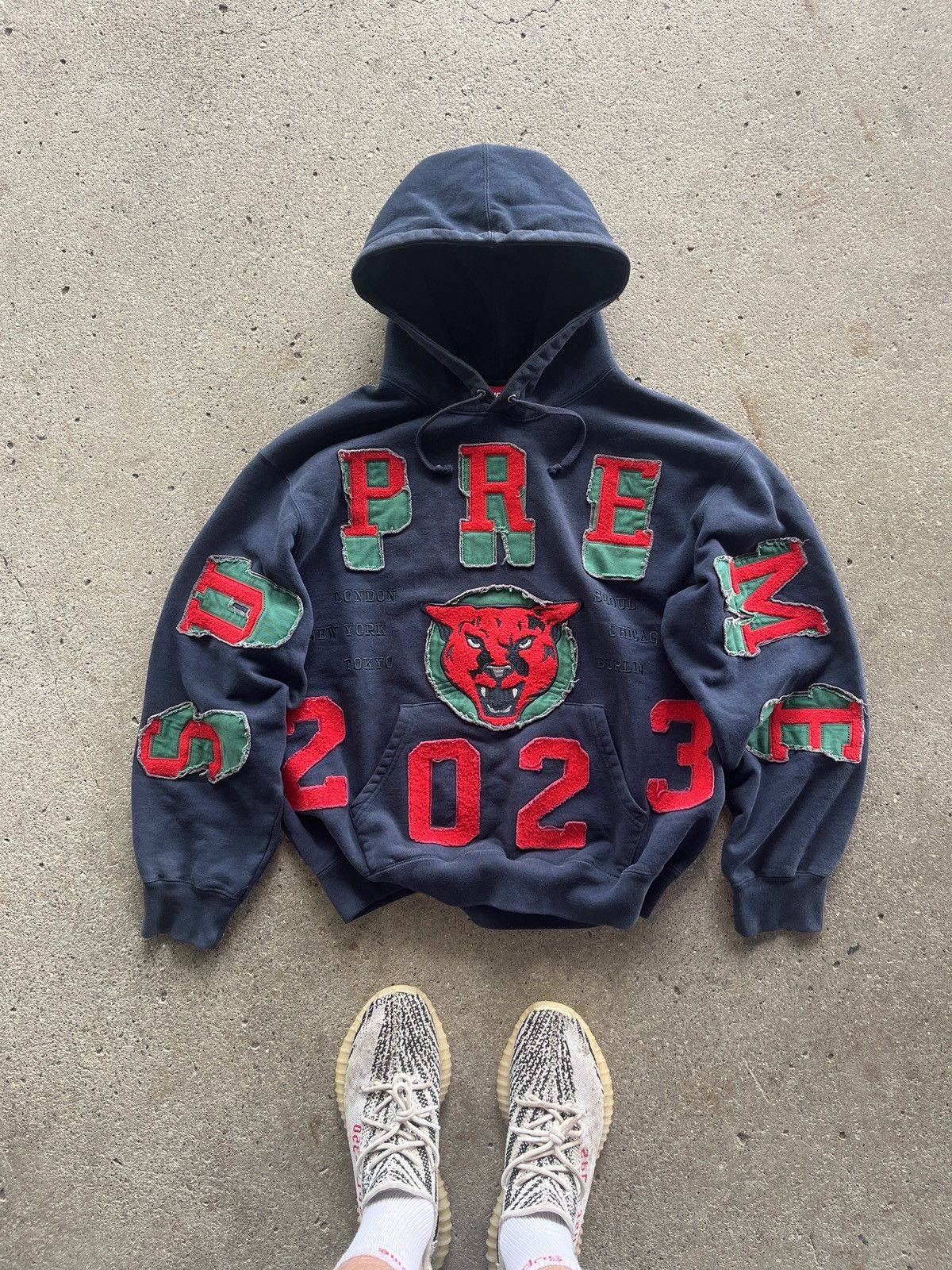 Supreme Supreme Washed Panther Hoodie FW 23 Size US M / EU 48-50 / 2 - 11 Thumbnail
