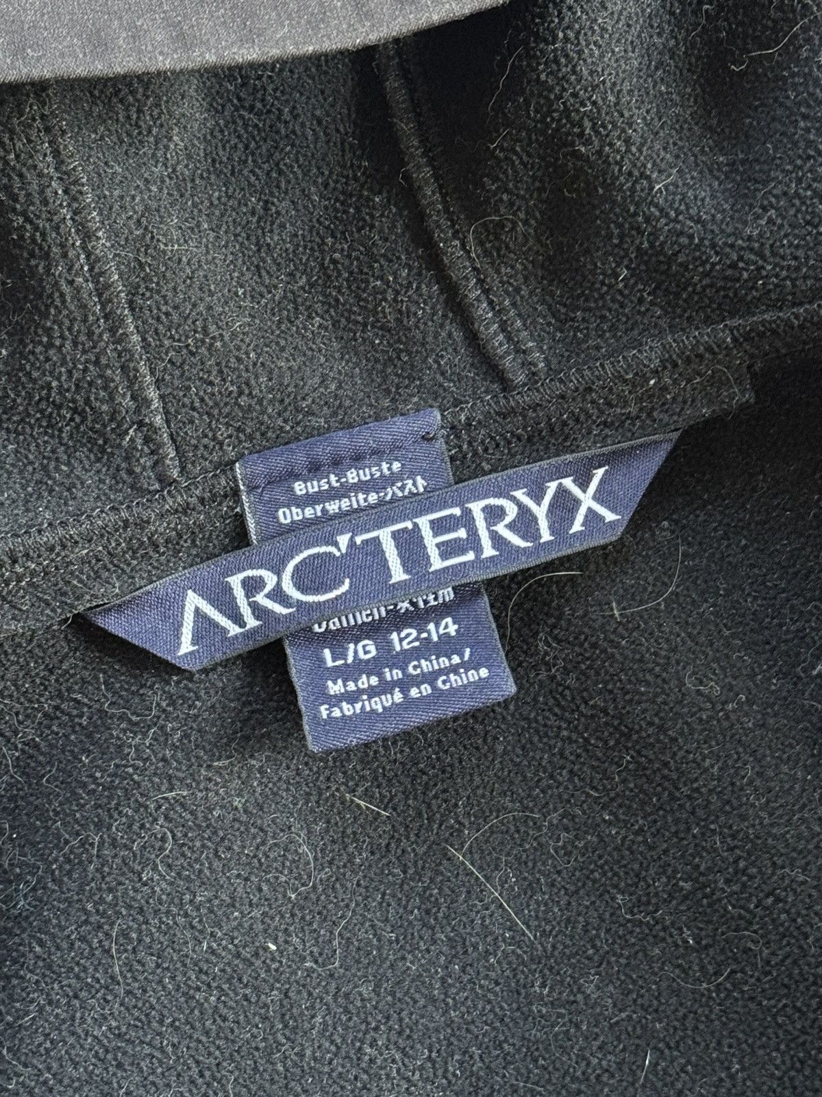 Arc'teryx Arc’teryx L Wmns zip hooded jacket softshell windbreaker Size L / US 10 / IT 46 - 11 Thumbnail