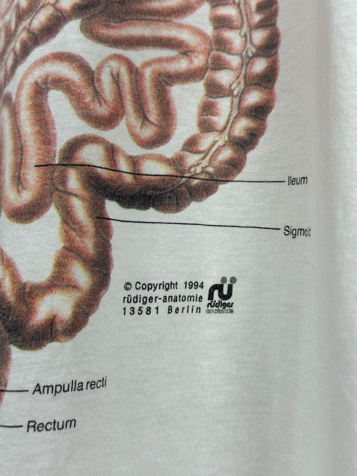 Vintage 1994 Vintage Input Output Anatomic Medical Digestive System Size US XL / EU 56 / 4 - 9 Thumbnail