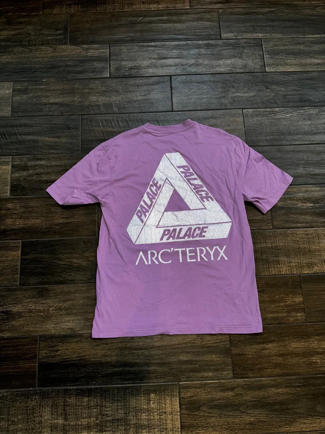 Arc Teryx Palace Palace Arc teryx Triferg Logo Tee Haze Purple Pink Grailed