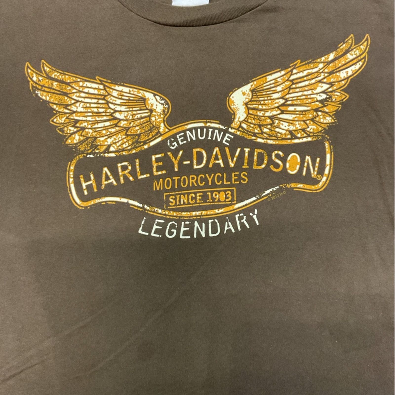 Harley Davidson Harley-Davidson Genuine Legendary Brown T-Shirt Size US XXL / EU 58 / 5 - 6 Thumbnail