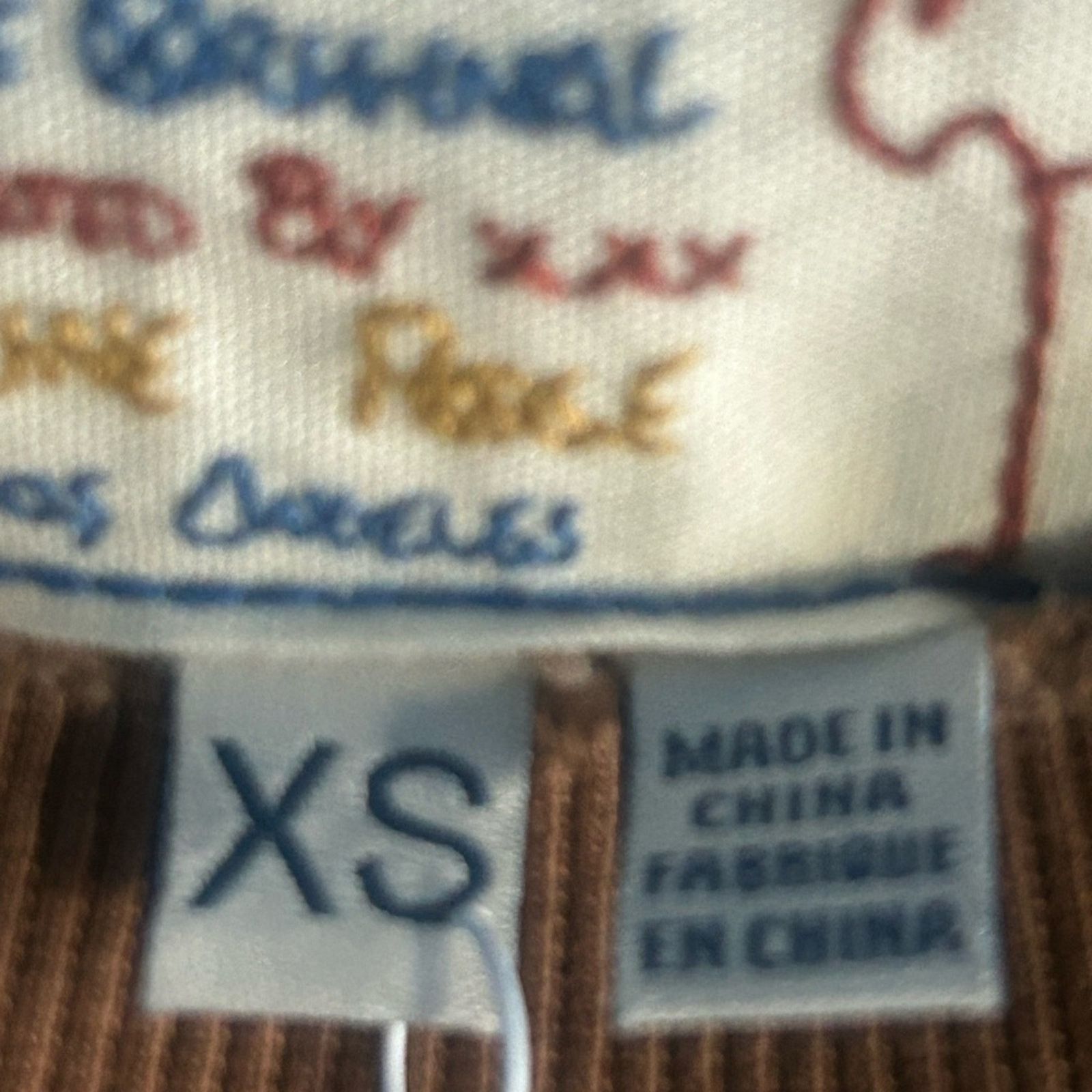 Free People x Sandrine Rose Brown Sweatshirt NWT XS