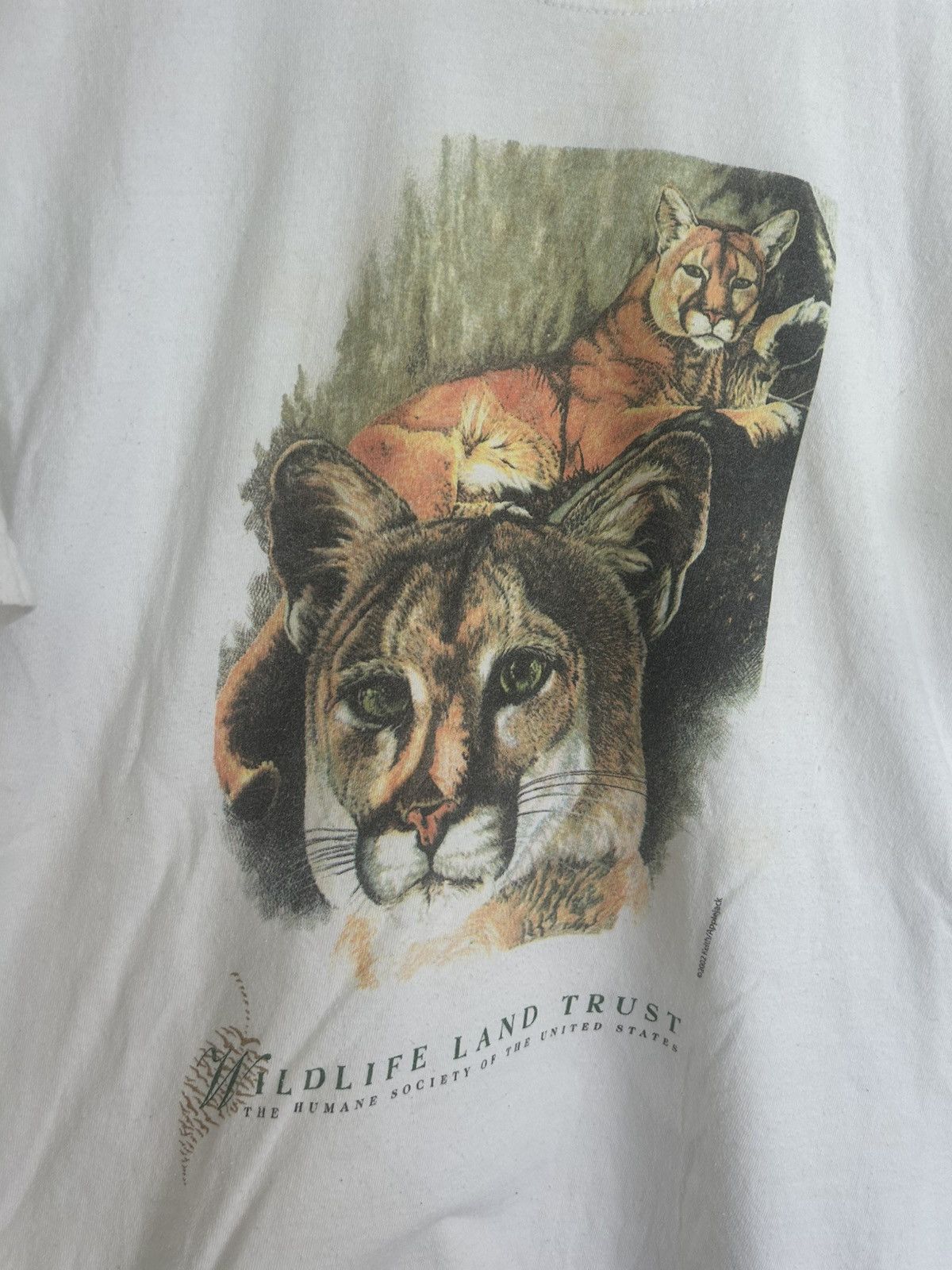 Vintage ‘02 Vintage Wildlife Land Trust Mountain Lion Art T-shirt Size US L / EU 52-54 / 3 - 2 Thumbnail