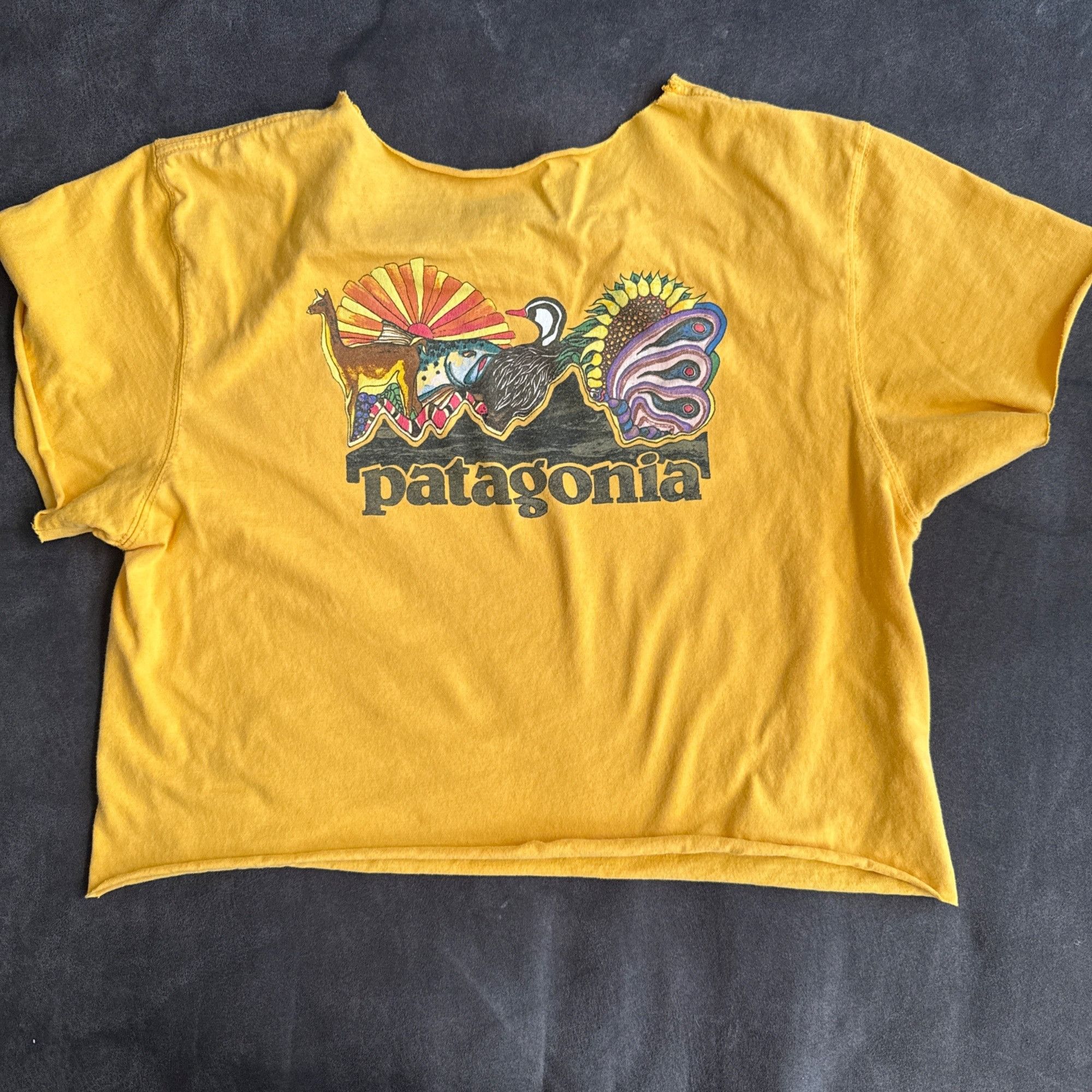 Patagonia Patagonia Yellow Organic Cotton Crop T-Shirt S Size S / US 4 / IT 40 - 1 Thumbnail