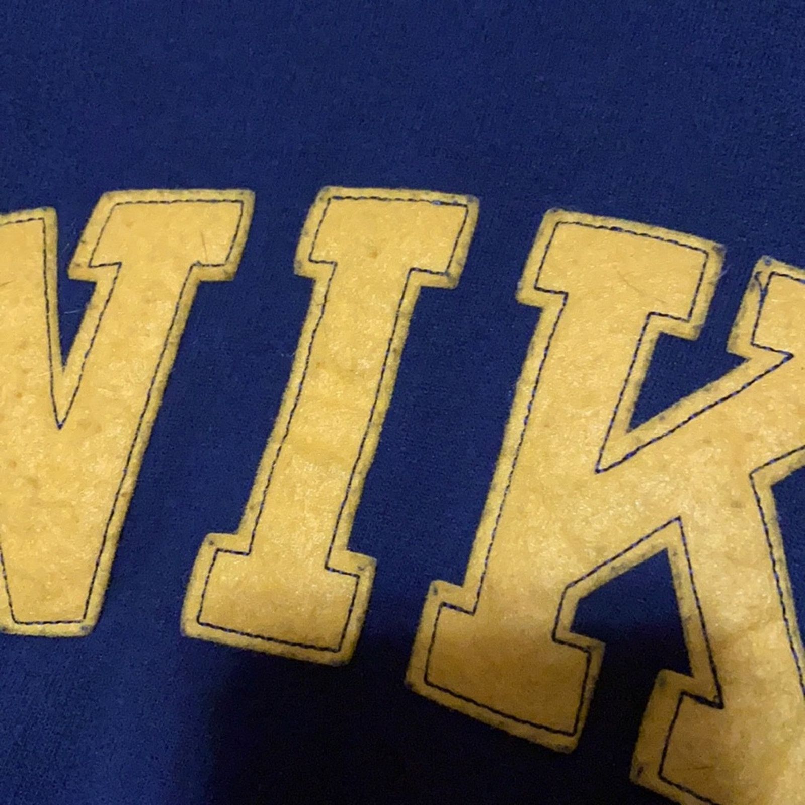 Nike Y2K Nike Spell out Hoodie Michigan Wolverine Colors Size US L / EU 52-54 / 3 - 4 Thumbnail