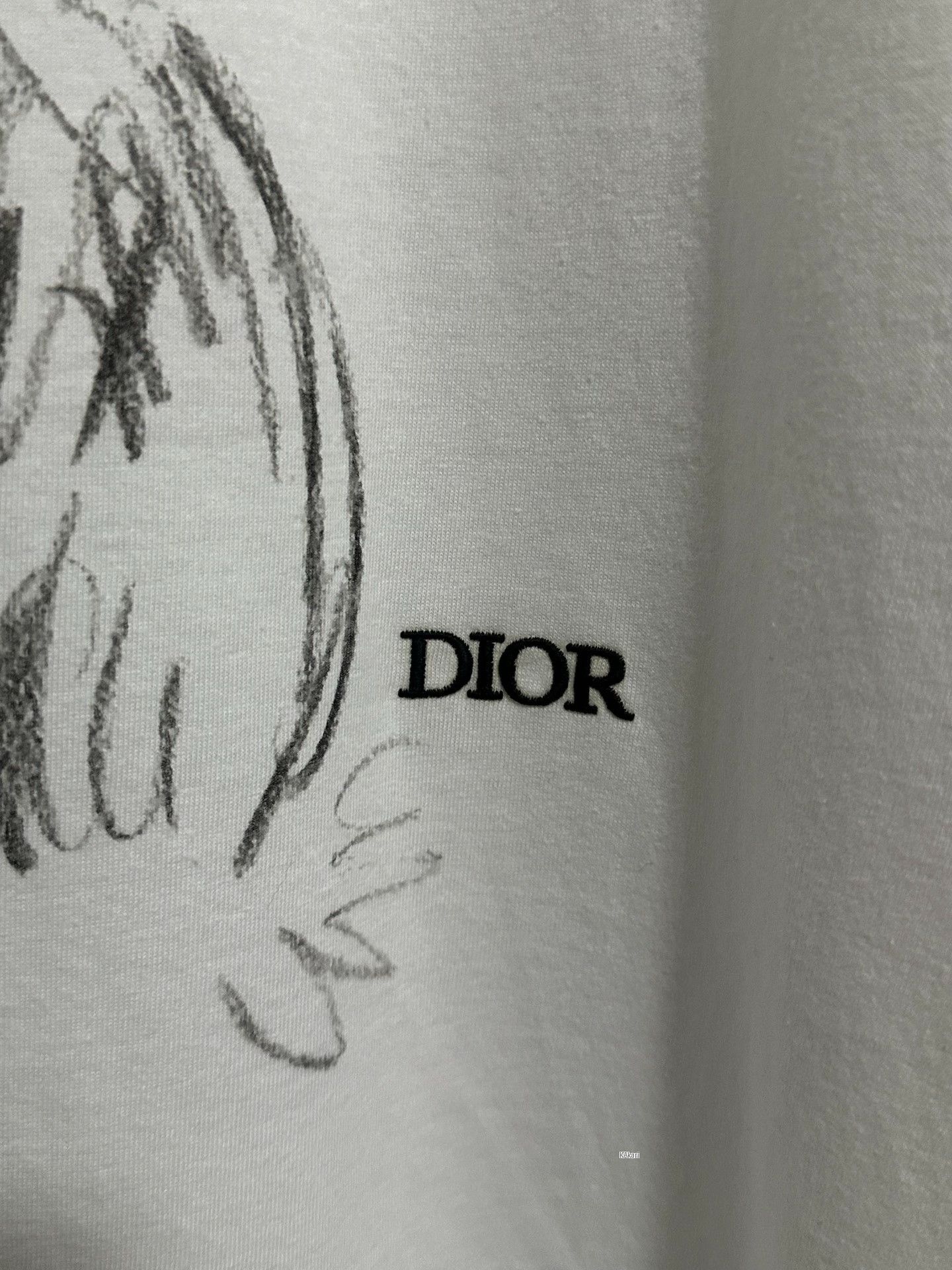 Dior Dior Sketch Dog Embroidery Logo T-Shirt Size US XL / EU 56 / 4 - 3 Thumbnail