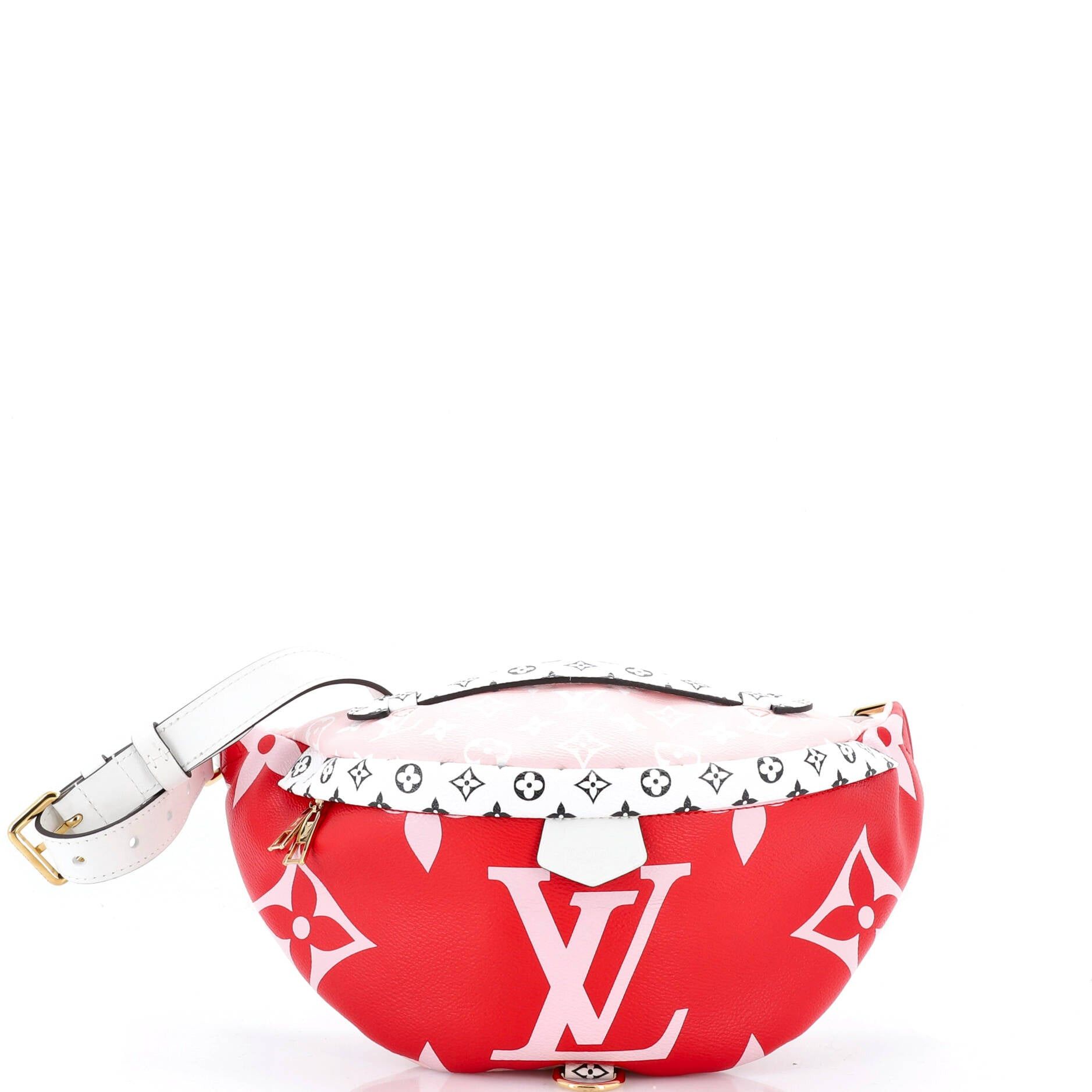 Louis Vuitton Bum Bag Size ONE SIZE - 1 Thumbnail