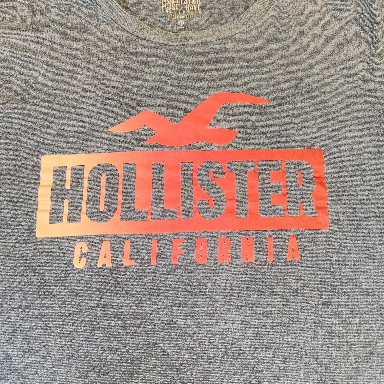Hollister Hollister T-Shirts Lot of 2 Men M Logo Cali Blue & Blue Grey Size US M / EU 48-50 / 2 - 6 Thumbnail