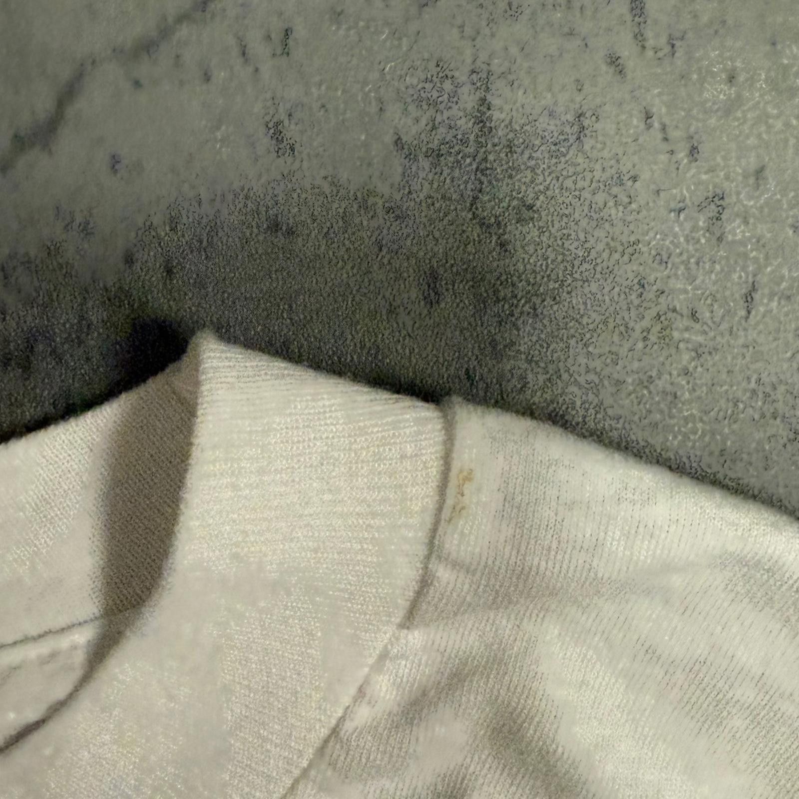 Fruit Of The Loom 80s Spleen — S — Size US S / EU 44-46 / 1 - 3 Thumbnail