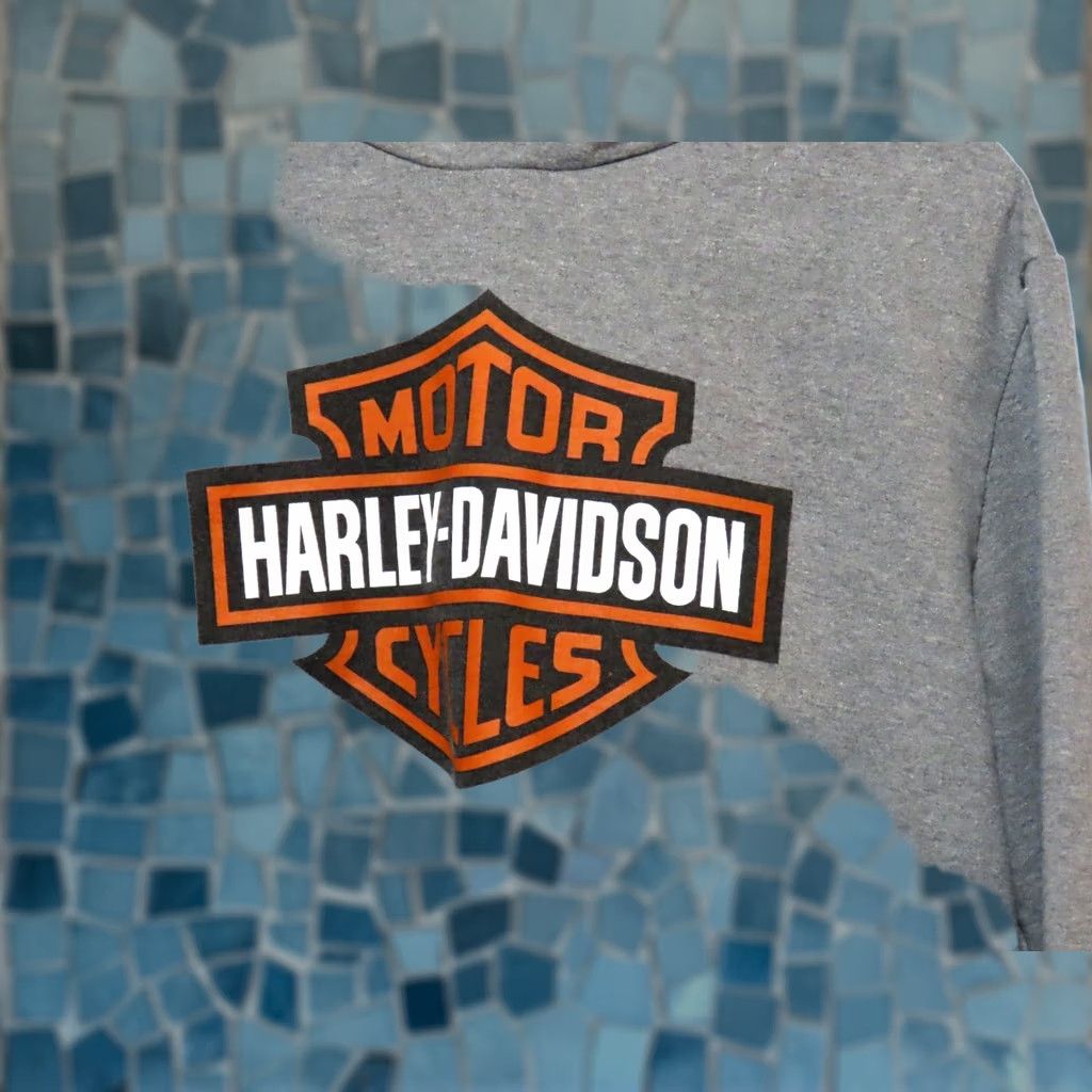 Harley Davidson VINTAGE Harley-Davidson Mens Small Pullover Hoodie Gray Bar & Shield Front Graphic Hoodie Mens Small Gray Graphic Print Vintage Biker Theme 90s? Size US S / EU 44-46 / 1 - 1 Thumbnail