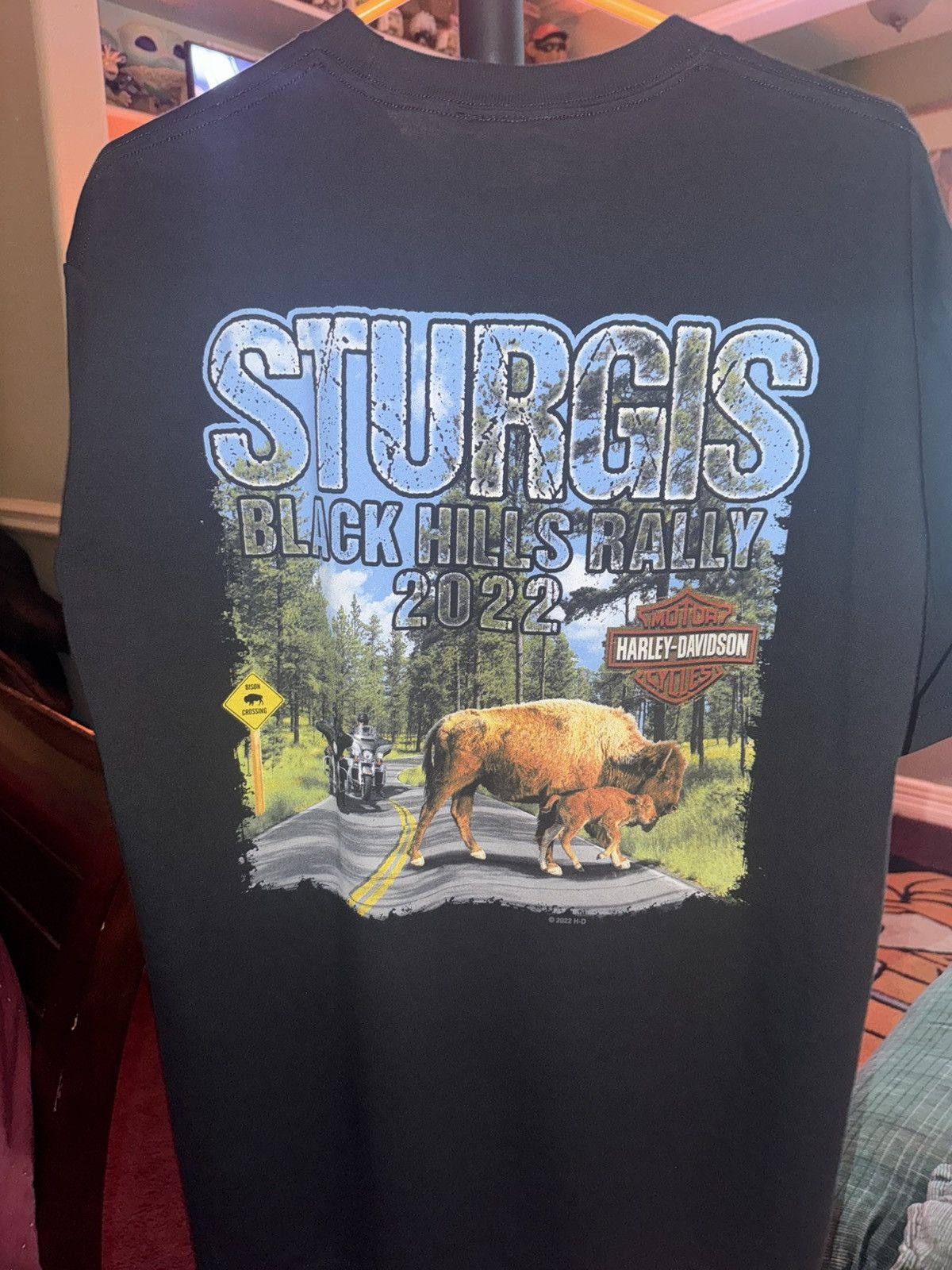 Harley Davidson Harley Davidson Sturgis Bison Tee Size US L / EU 52-54 / 3 - 1 Thumbnail