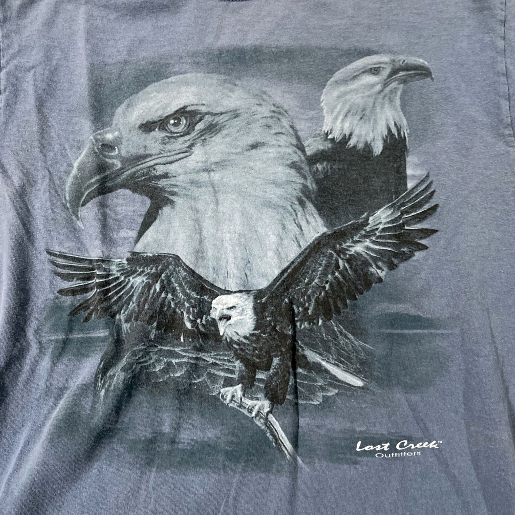 Gildan VINTAGE 90s Lost Creek Outfitters Blue Eagle T Shirt Medium Men Cotton Crew Neck Short Sleeve Gildan Regular XS? No Size US M / EU 48-50 / 2 - 2 Thumbnail
