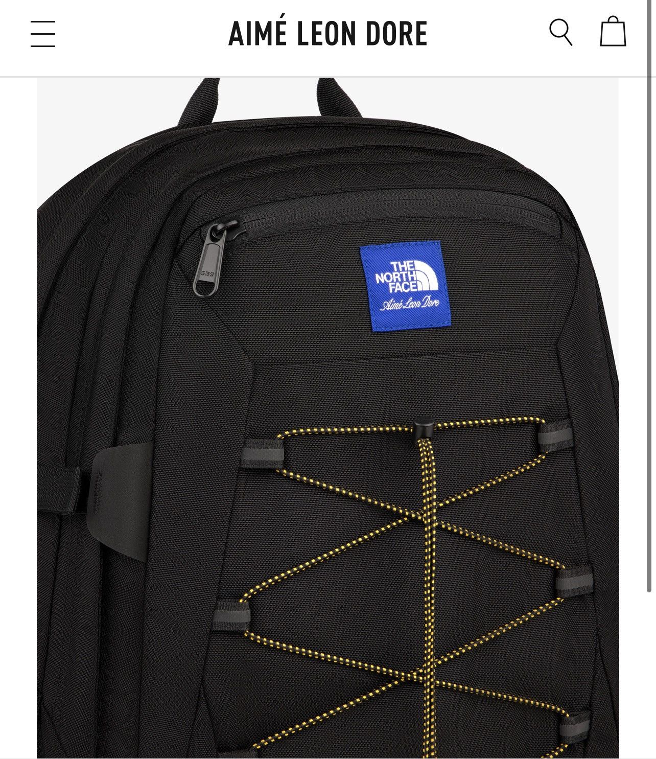 The North Face x Aime leon Dore Backpack