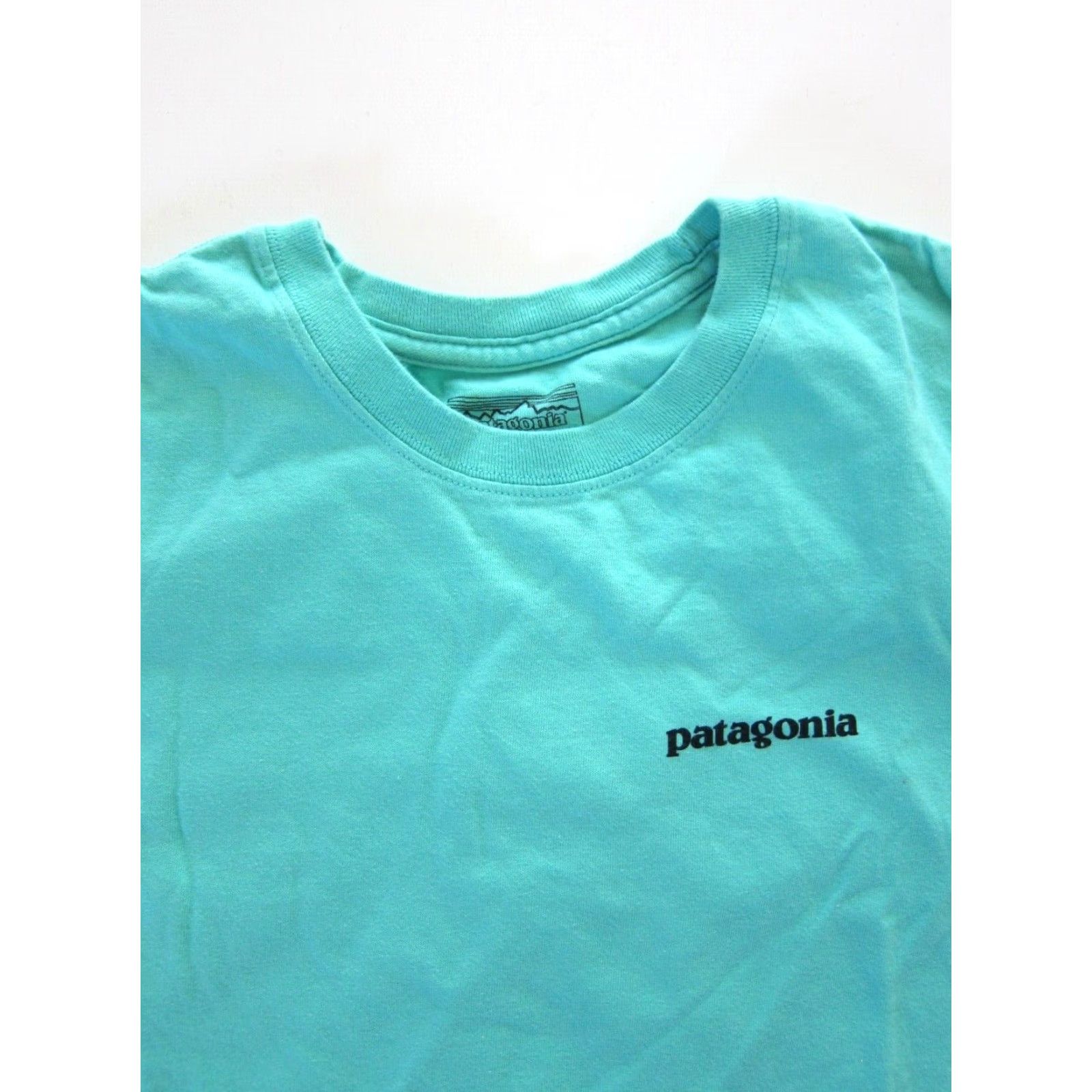 Patagonia VINTAGE Patagonia T-Shirt Men XS 100% Cotton Teal Blue Mountain Crew Neck 90s Shirt Mens XS Blue Size US XS / EU 42 / 0 - 6 Thumbnail
