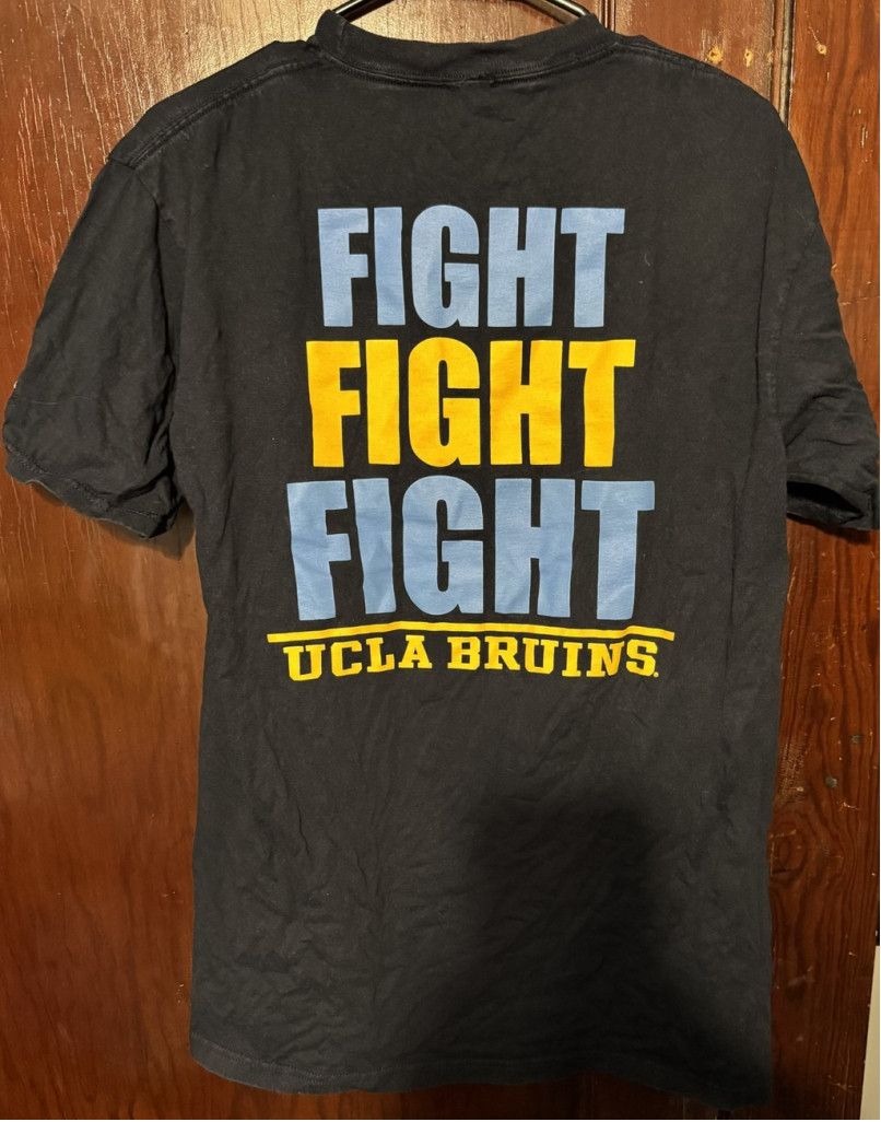 Champion UCLA Bruins Champion T-shirt Men's Sz L (?) Blue Size US L / EU 52-54 / 3 - 2 Thumbnail