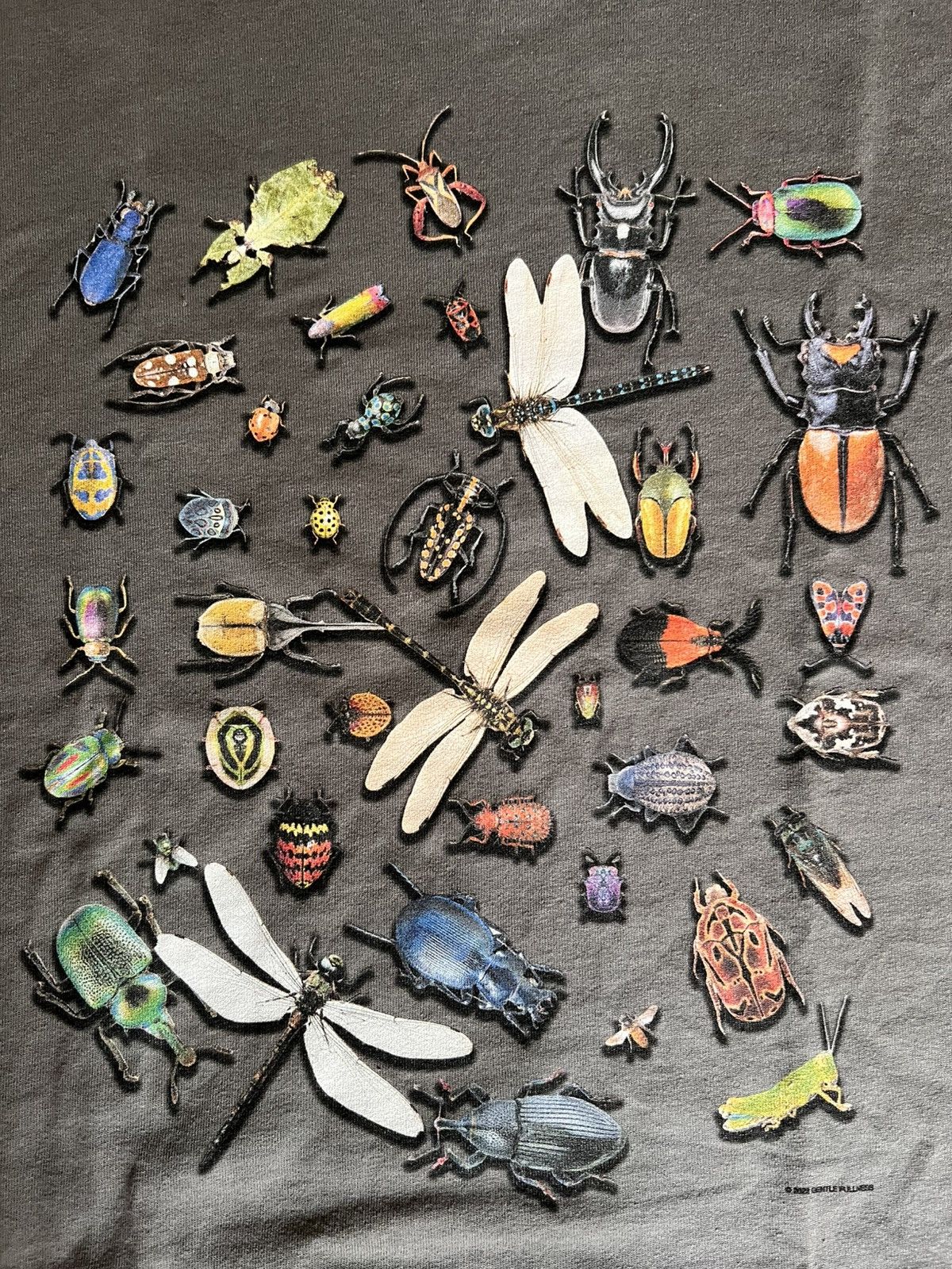 Gentle Fullness Gentle Fullness Bugs Tee Size US L / EU 52-54 / 3 - 1 Thumbnail