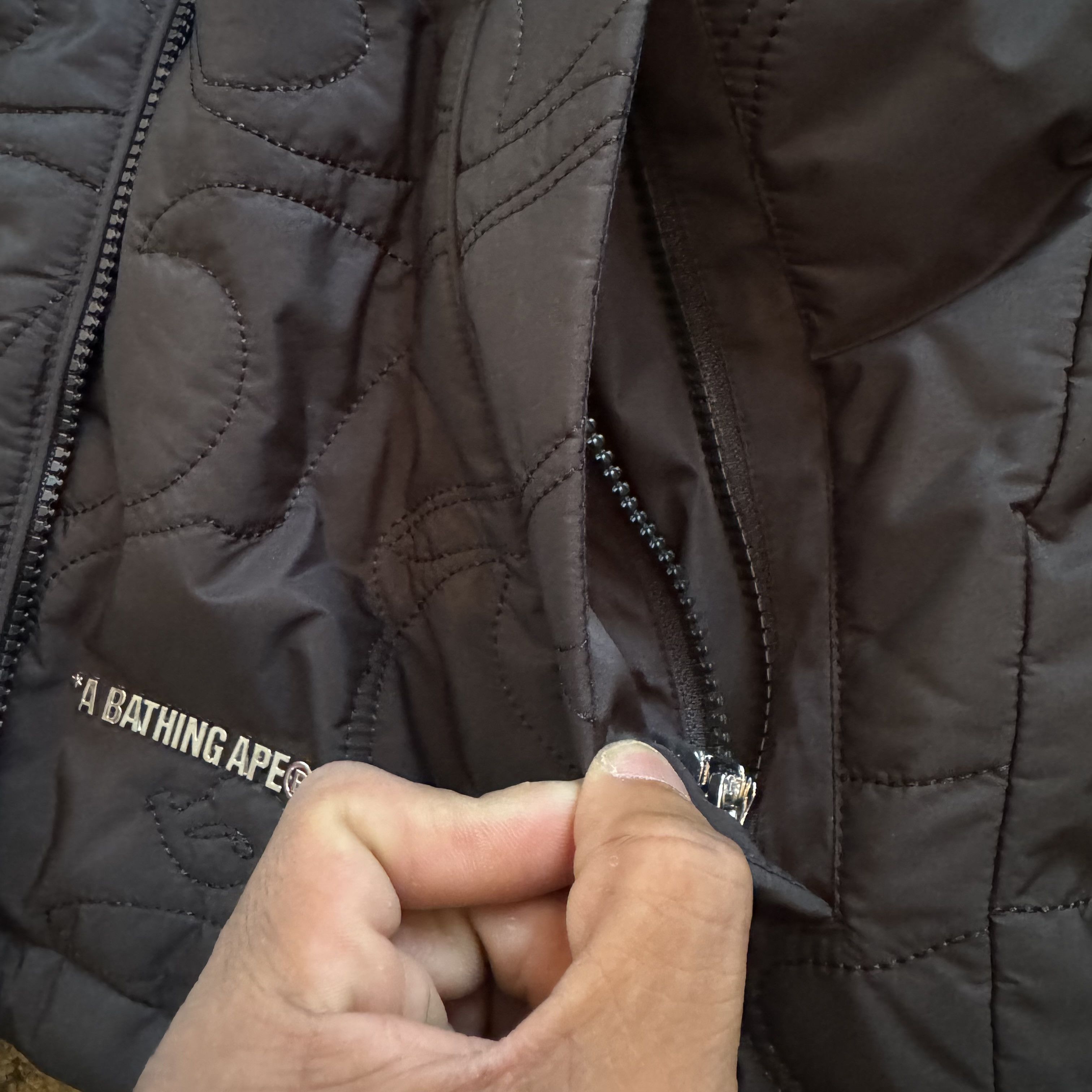 Shark Jacket