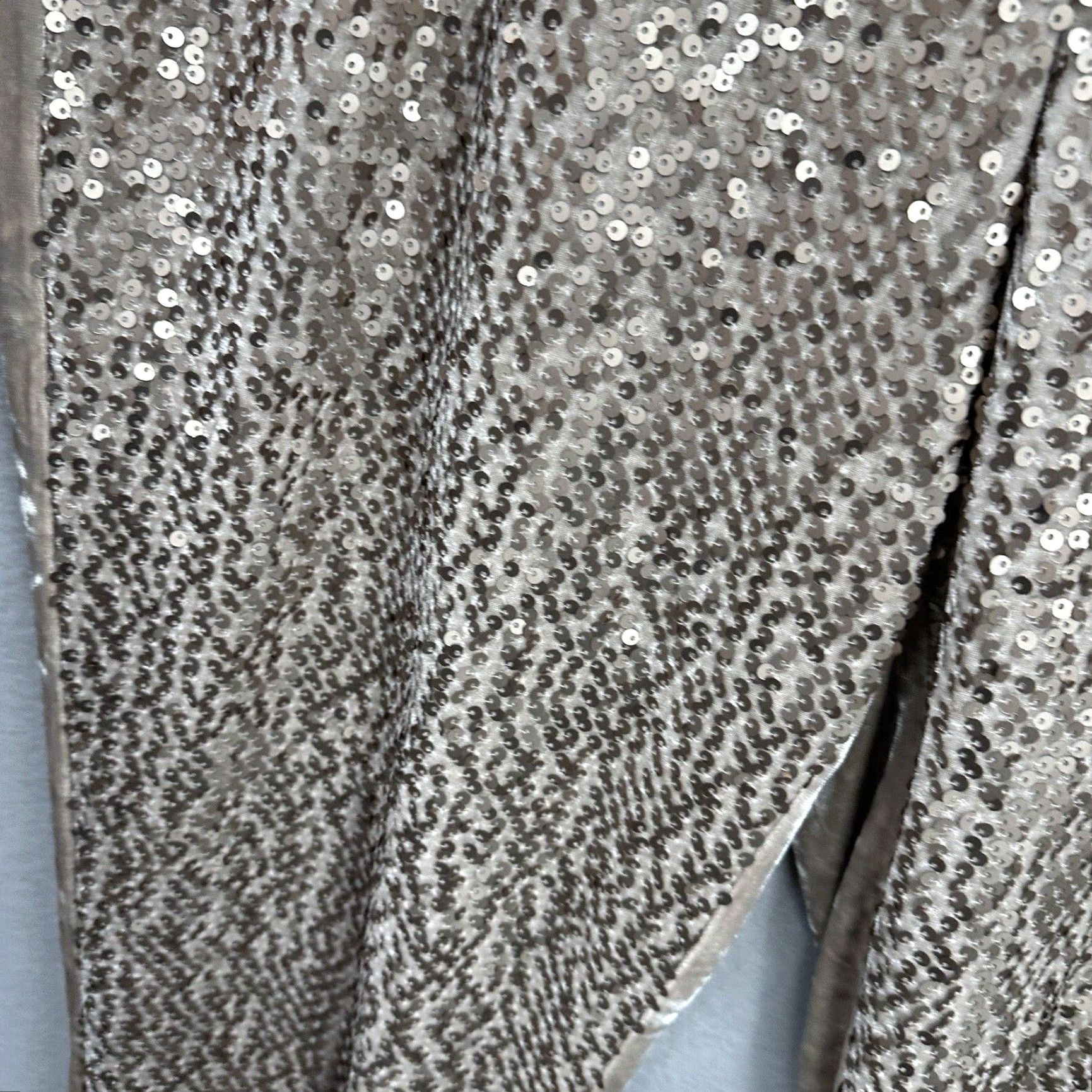 Vintage Chico's Sequin Velour Tapered Ankle Pants Womens Large Beige Casual 90s Size 36" / US 14 / IT 50 - 7 Thumbnail