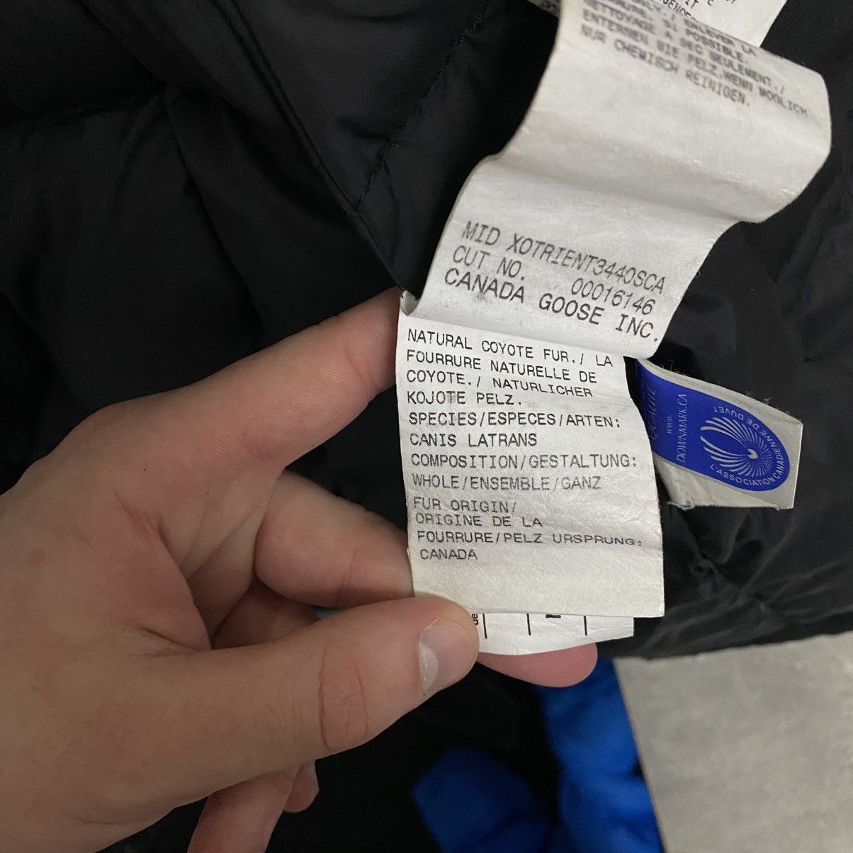 Canada Goose Canada Goose Parka Jacket Black Size S / US 4 / IT 40 - 23 Thumbnail