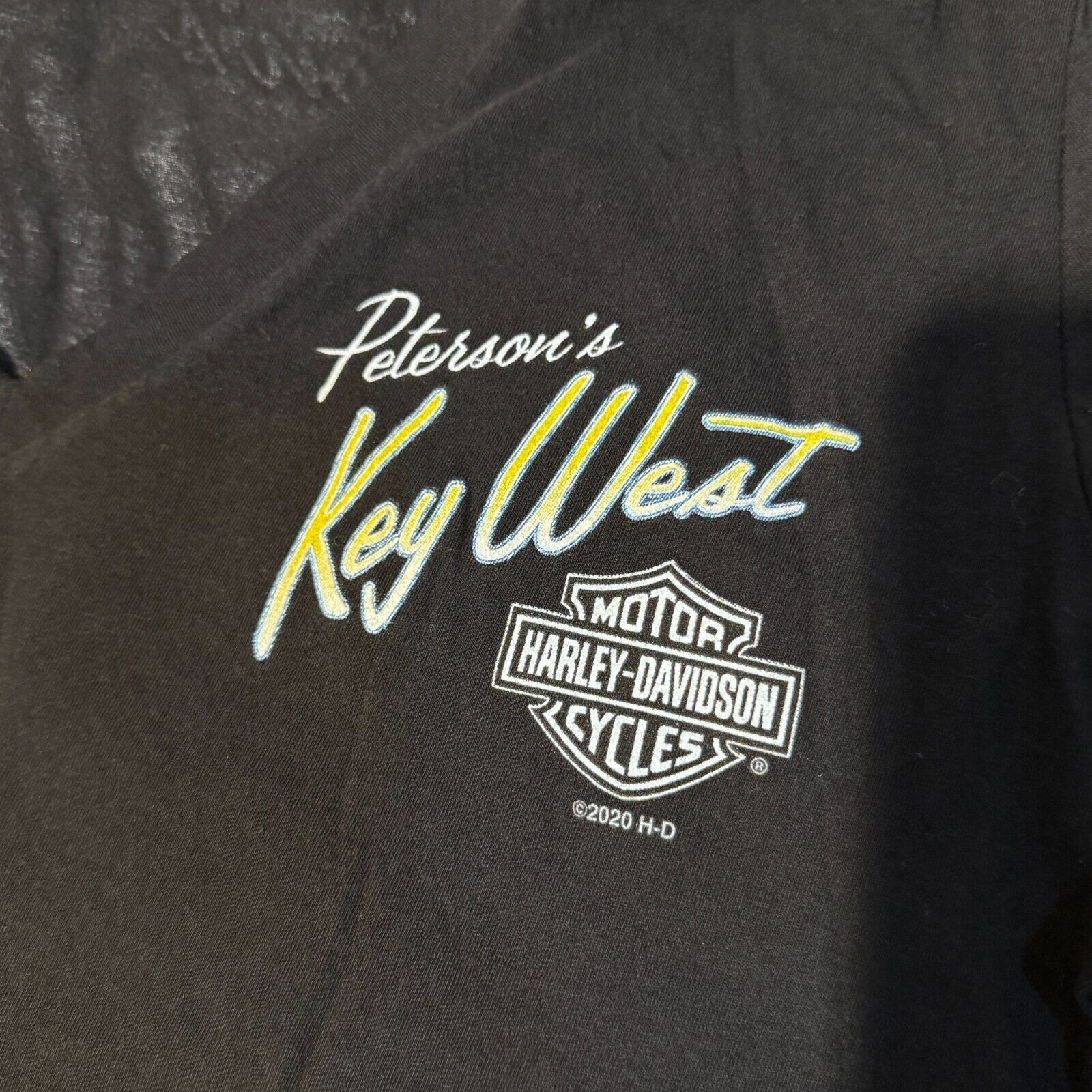 Harley Davidson Harley Davidson Key West Florida Peterson's Sea Turtle Biker Size L / US 10 / IT 46 - 3 Thumbnail