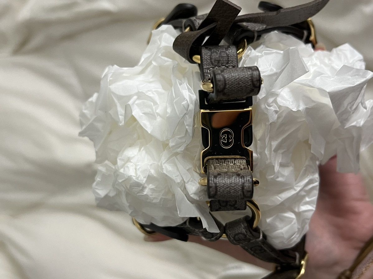 Gucci Extra Small Gucci Dog Collar Size ONE SIZE - 5 Thumbnail