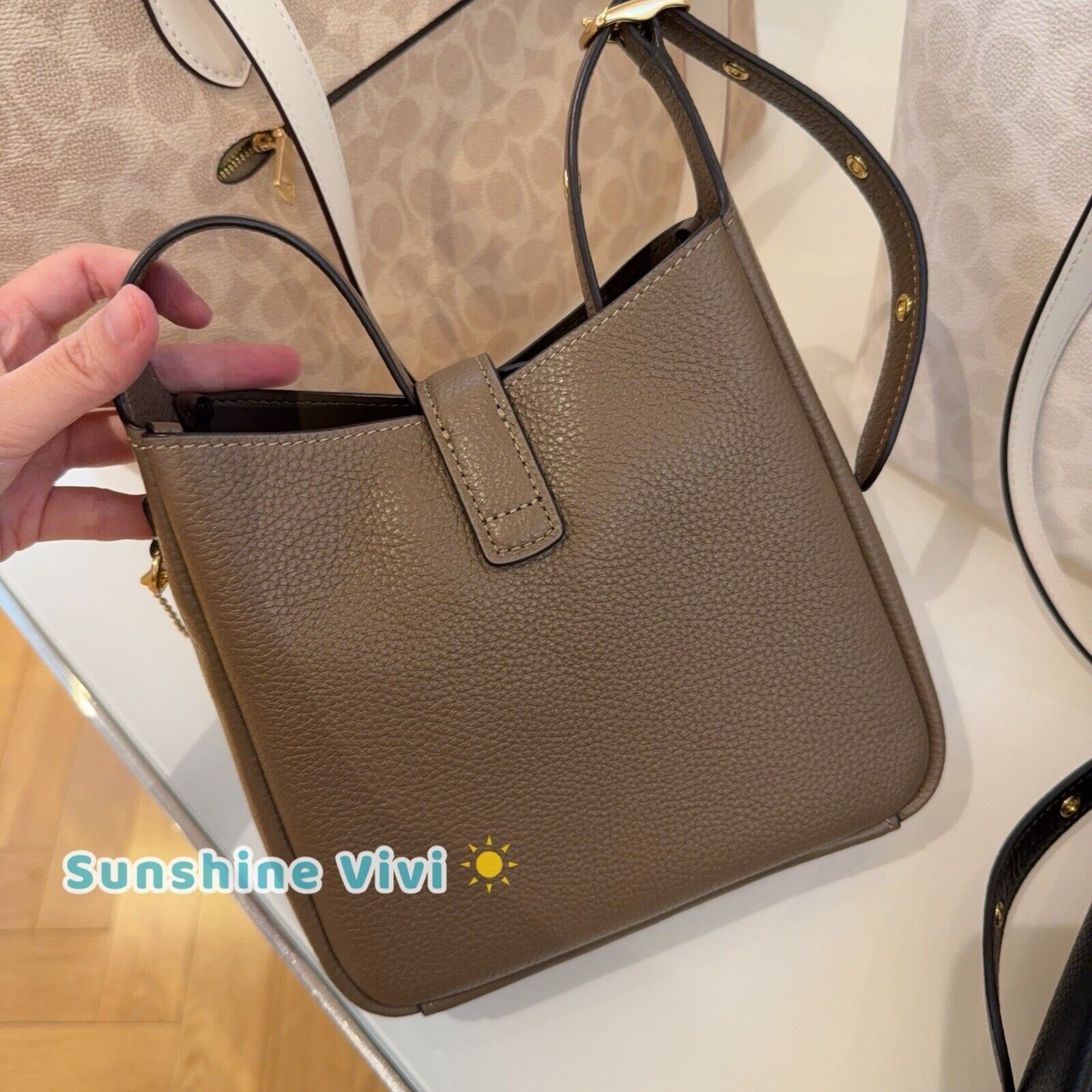 Coach NWT Coach Hadley Mini Crossbody Bag CAL60 Gold/Dark Stone Size ONE SIZE - 4 Thumbnail
