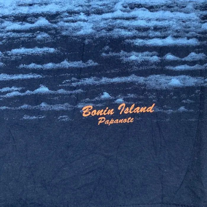 Vintage Vintage 90’ BONIN ISLAND CHICHIJIMA Humpback Tee Shirt Size US M / EU 48-50 / 2 - 9 Thumbnail