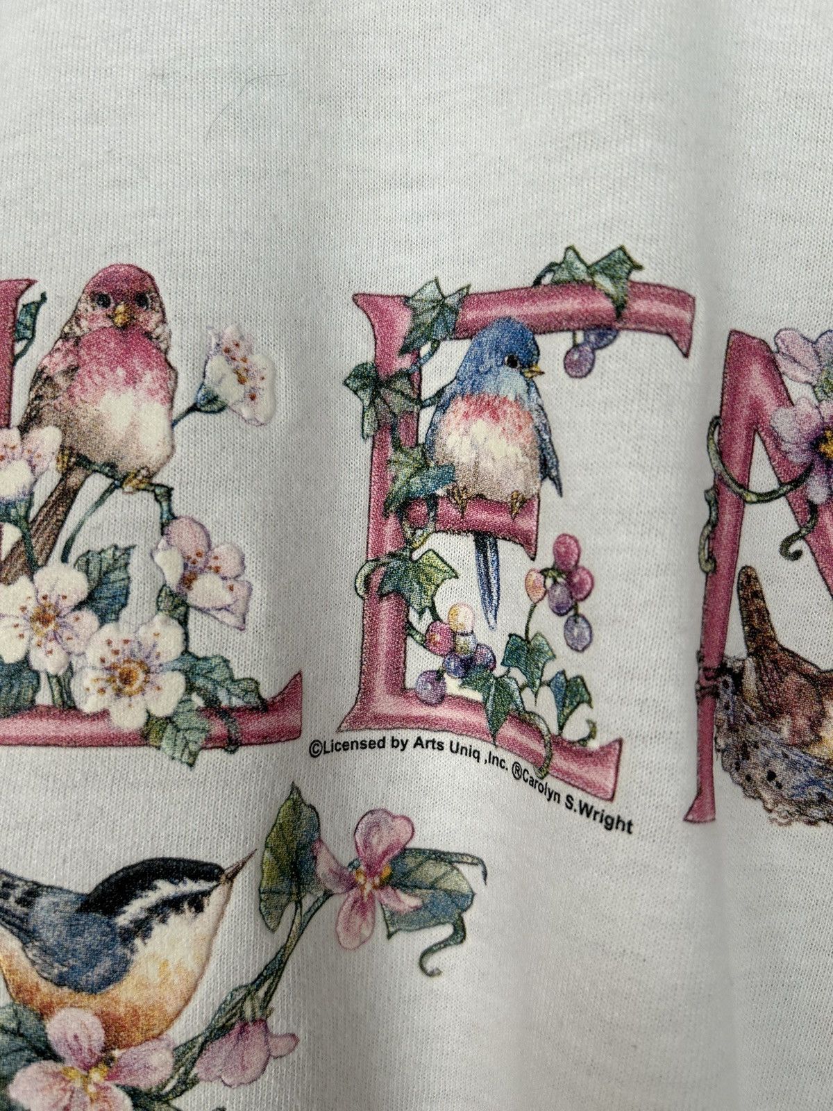 Vintage Vintage Salem Graphic Tee Birds Animal Hype Skate Rock Size US L / EU 52-54 / 3 - 4 Thumbnail