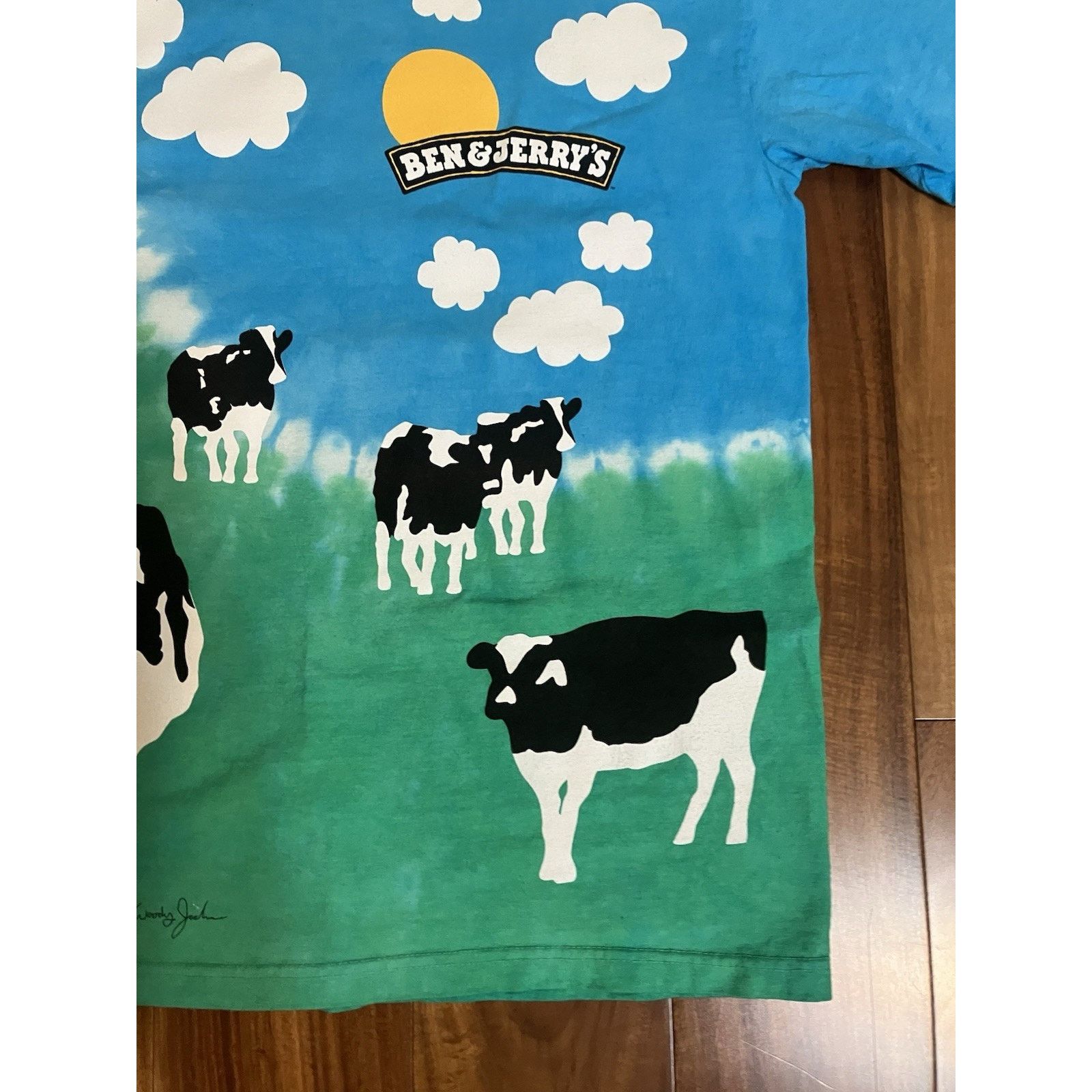 Anvil Ben & Jerry’s Euphoria AOP Ice Cream T-Shirt Size M Tie Dye Size US M / EU 48-50 / 2 - 6 Thumbnail