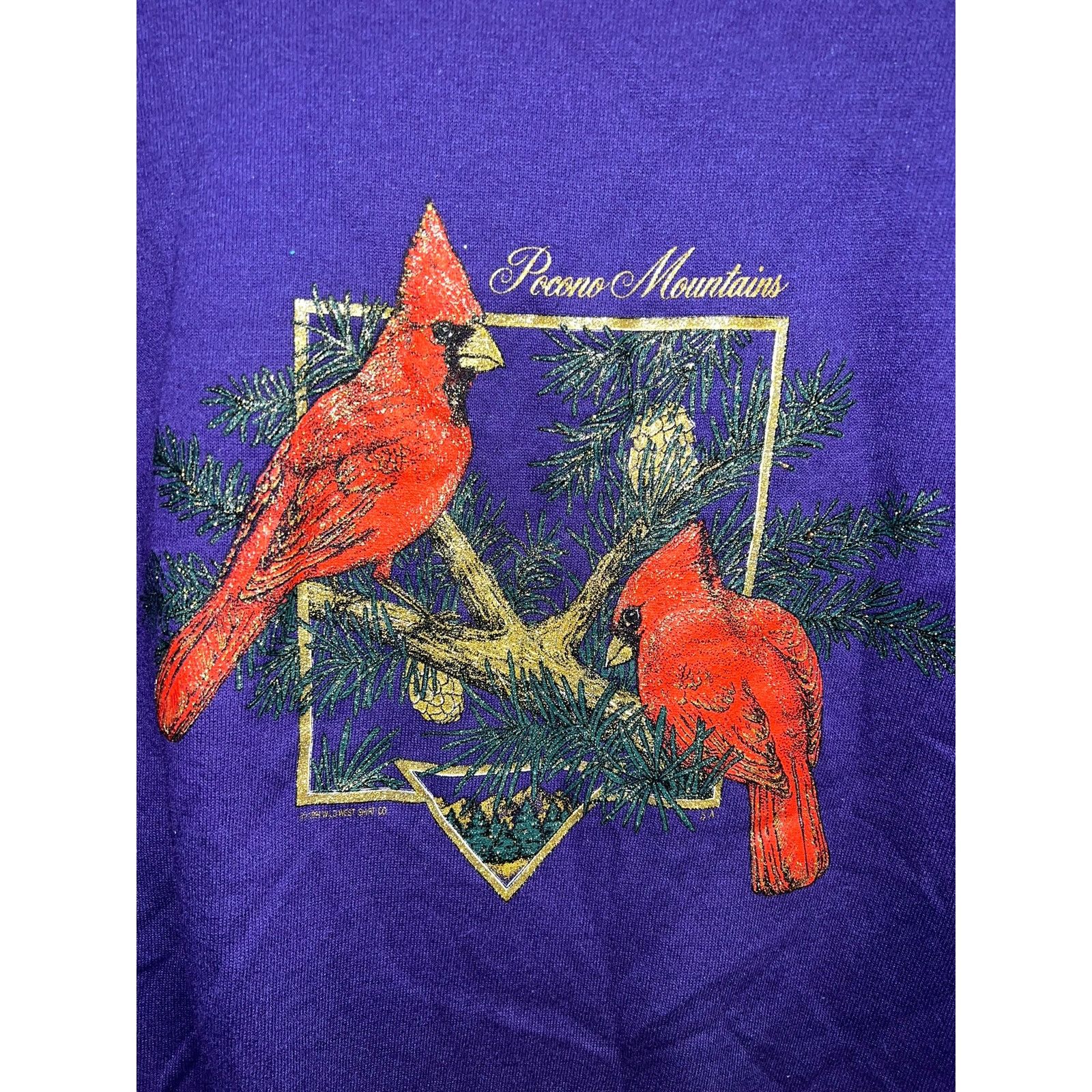 Jerzees Vintage Pocono Mountains Sweatshirt Cardinal Bird Large 90s Size US L / EU 52-54 / 3 - 2 Thumbnail