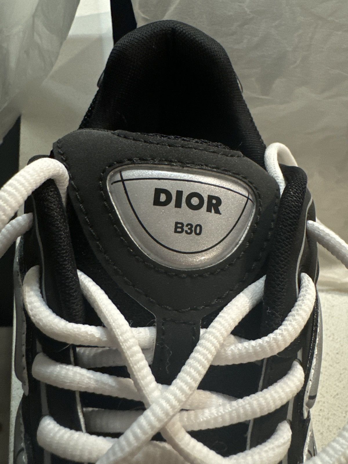 Dior B30 BlackWhite