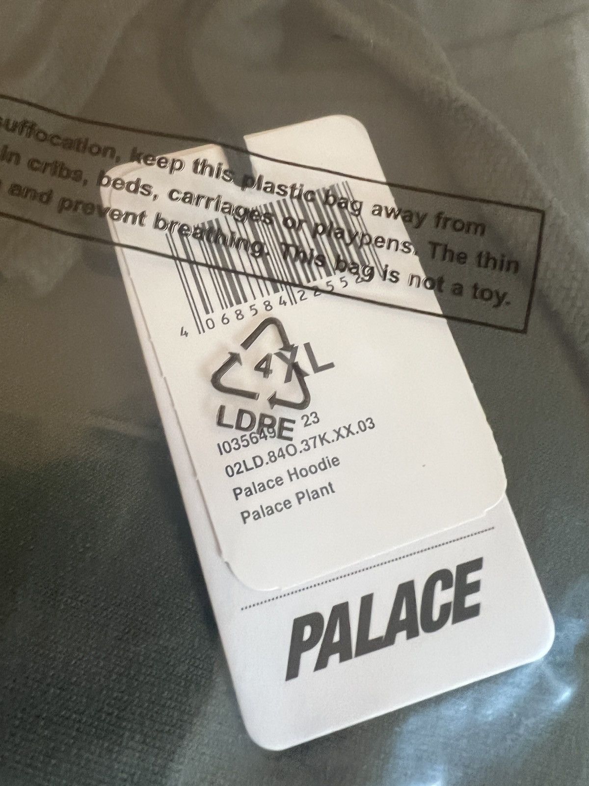 Palace x Carhartt WIP Hood 'Plant'