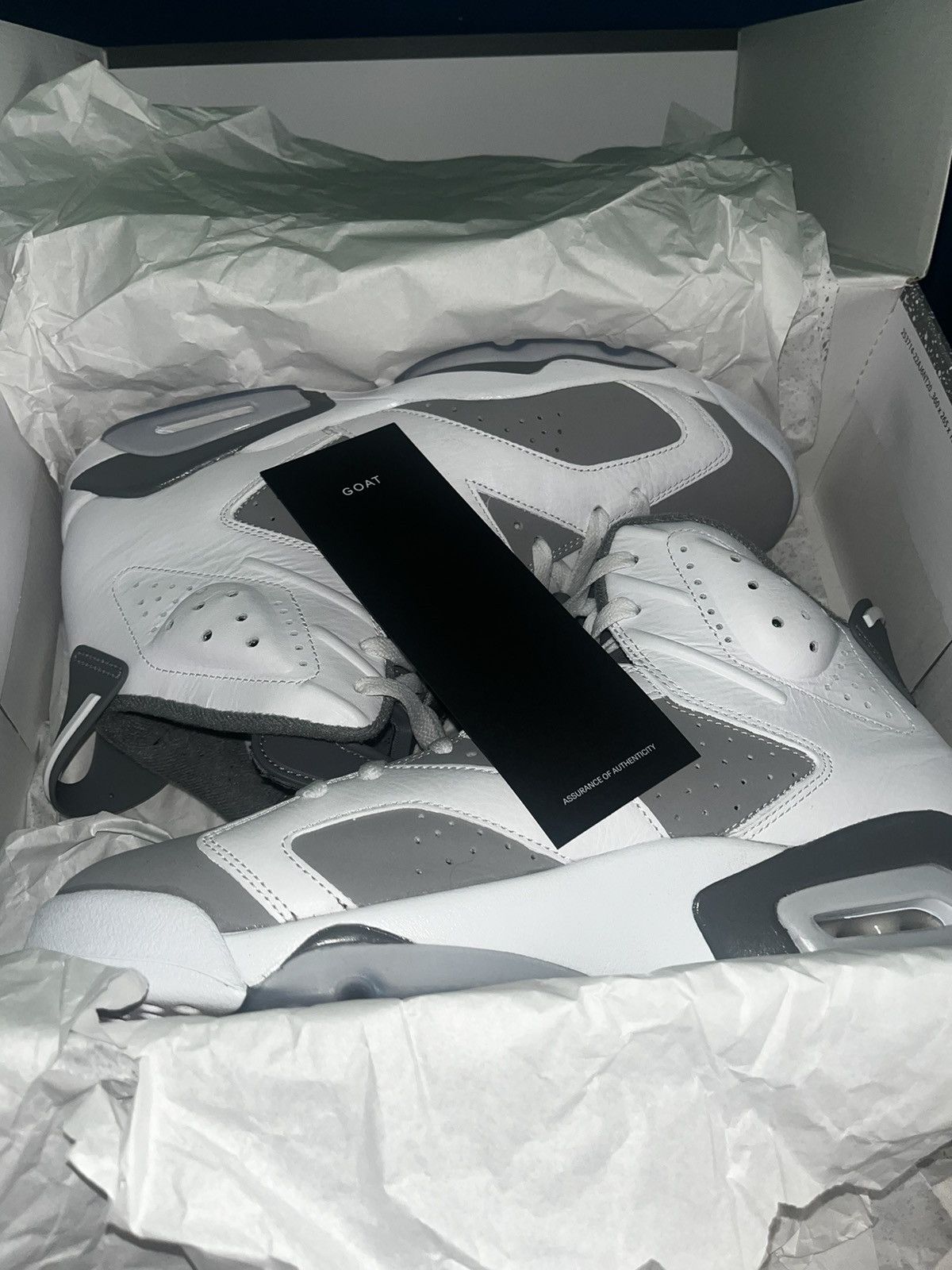 Jordan 6 Cool Greys