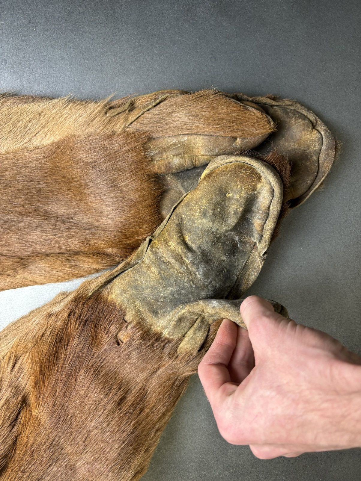 Vintage Antique Bear Fur Gauntlets Vintage Bearskin Mittens WW1 WW2 Size ONE SIZE - 10 Thumbnail