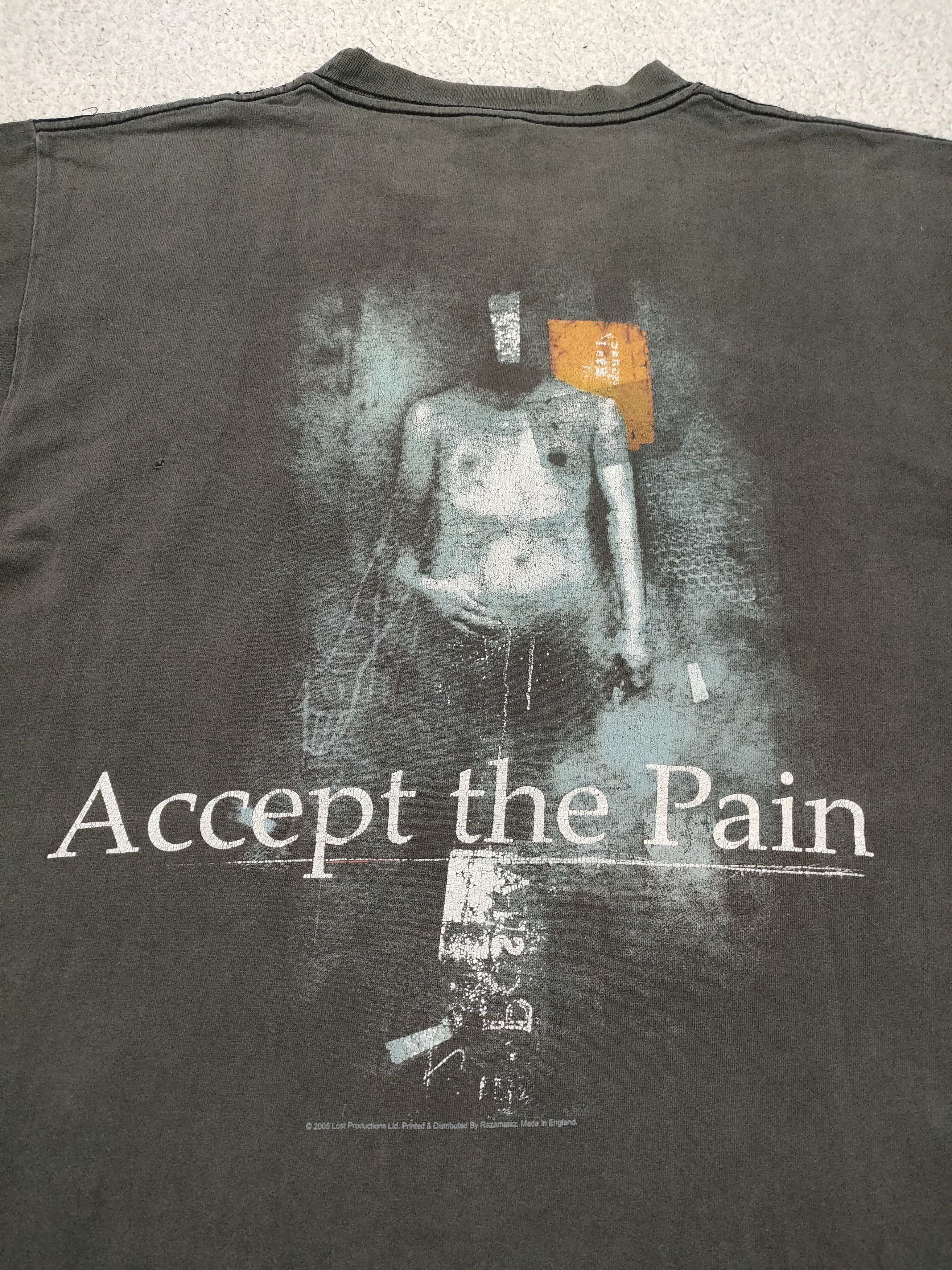 Band Tees Early 00s PARADISE LOST - ACCEPT THE PAIN Vintage Band Tee Size US L / EU 52-54 / 3 - 9 Thumbnail
