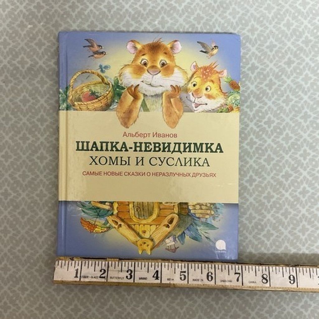 The Unbranded Brand Альберт Иванов Шапка Невидимка Хомы и Суслика kids book 3-7 Size ONE SIZE - 4 Thumbnail