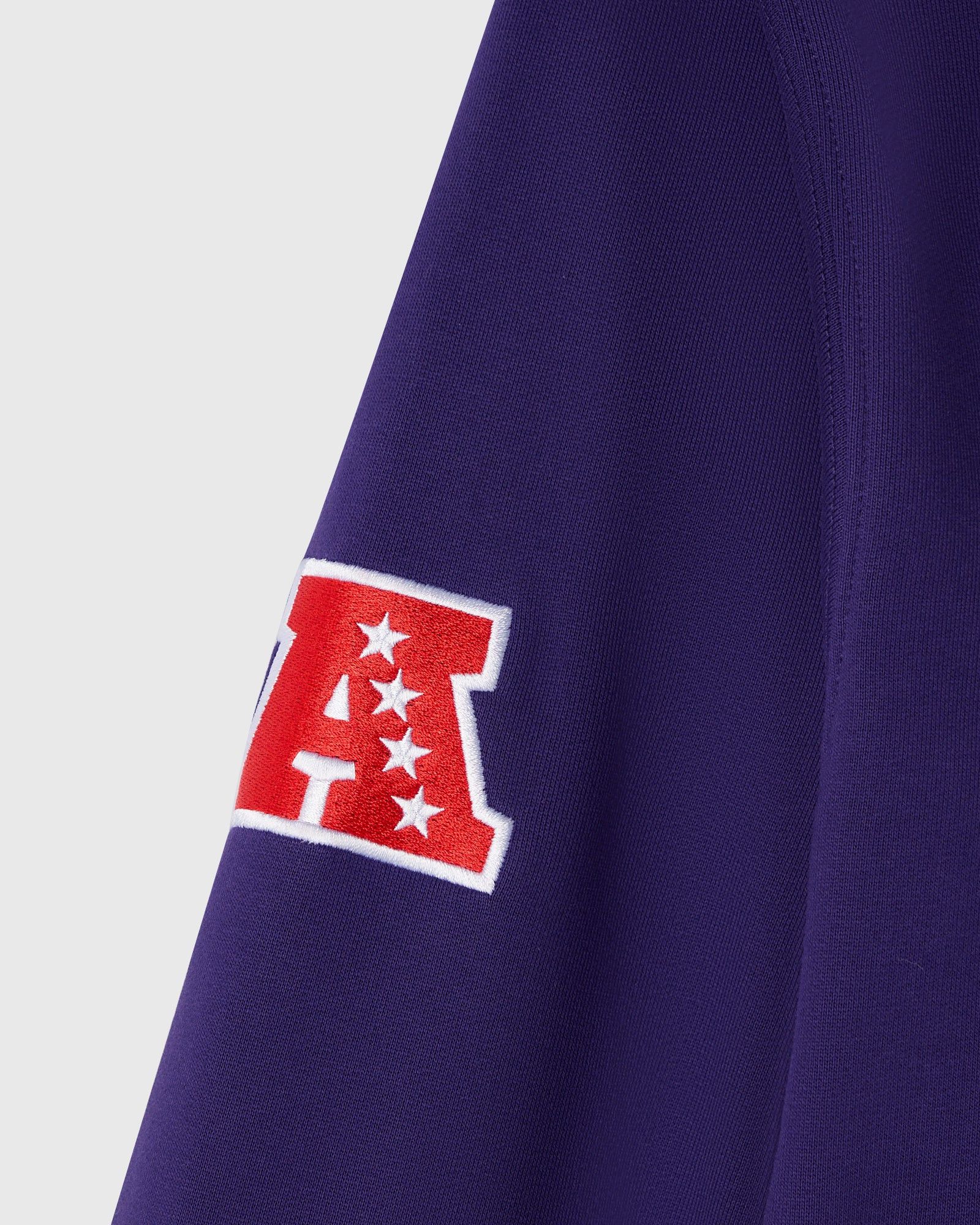 Drake *RARE* OVO x NFL BALTIMORE RAVENS OG OWL ICON TEAM HOODIE Size US S / EU 44-46 / 1 - 5 Thumbnail