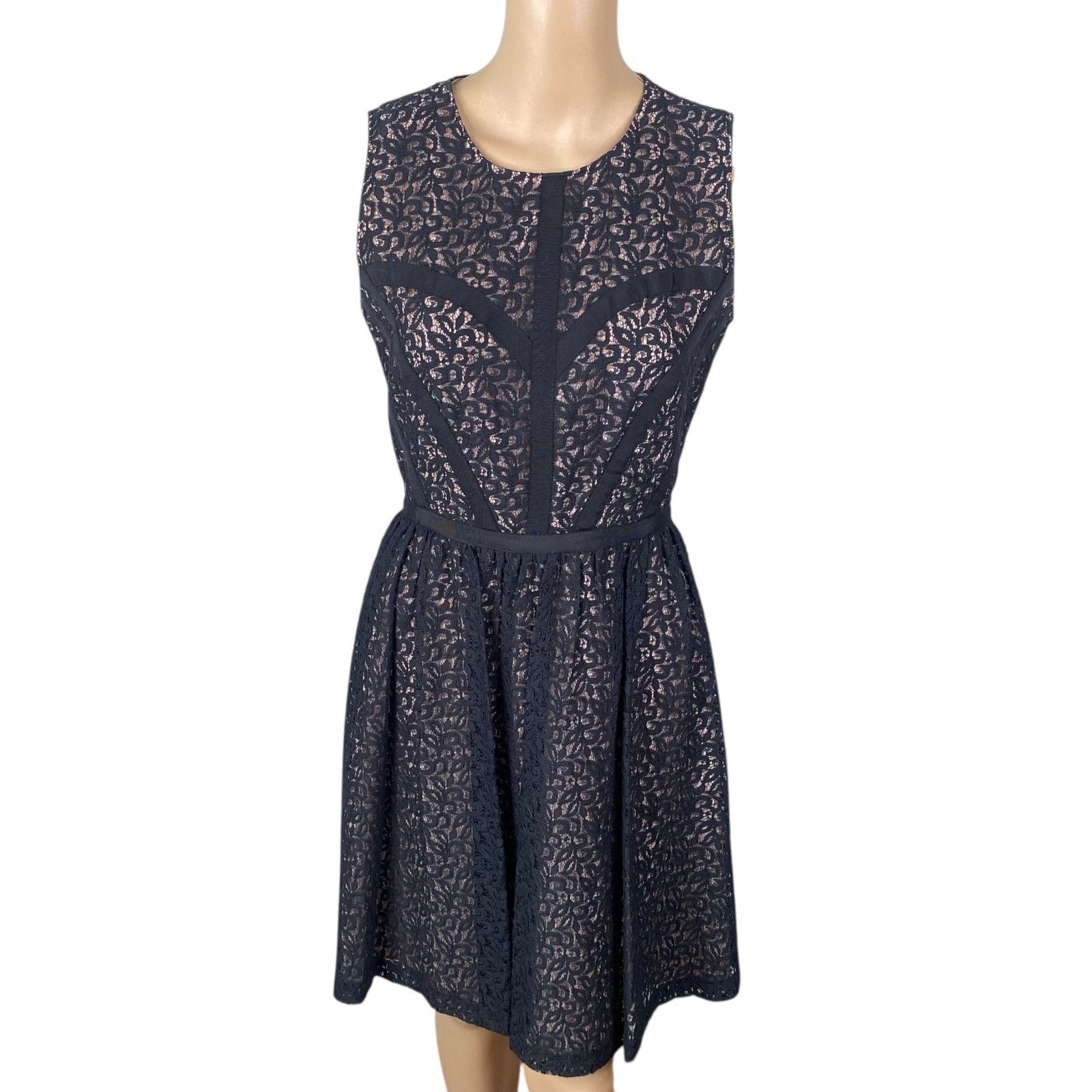 Nordstrom Erin Fetherston Black Pink Lace Overlay Party Dress SZ 2 Size L / US 10 / IT 46 - 2 Thumbnail