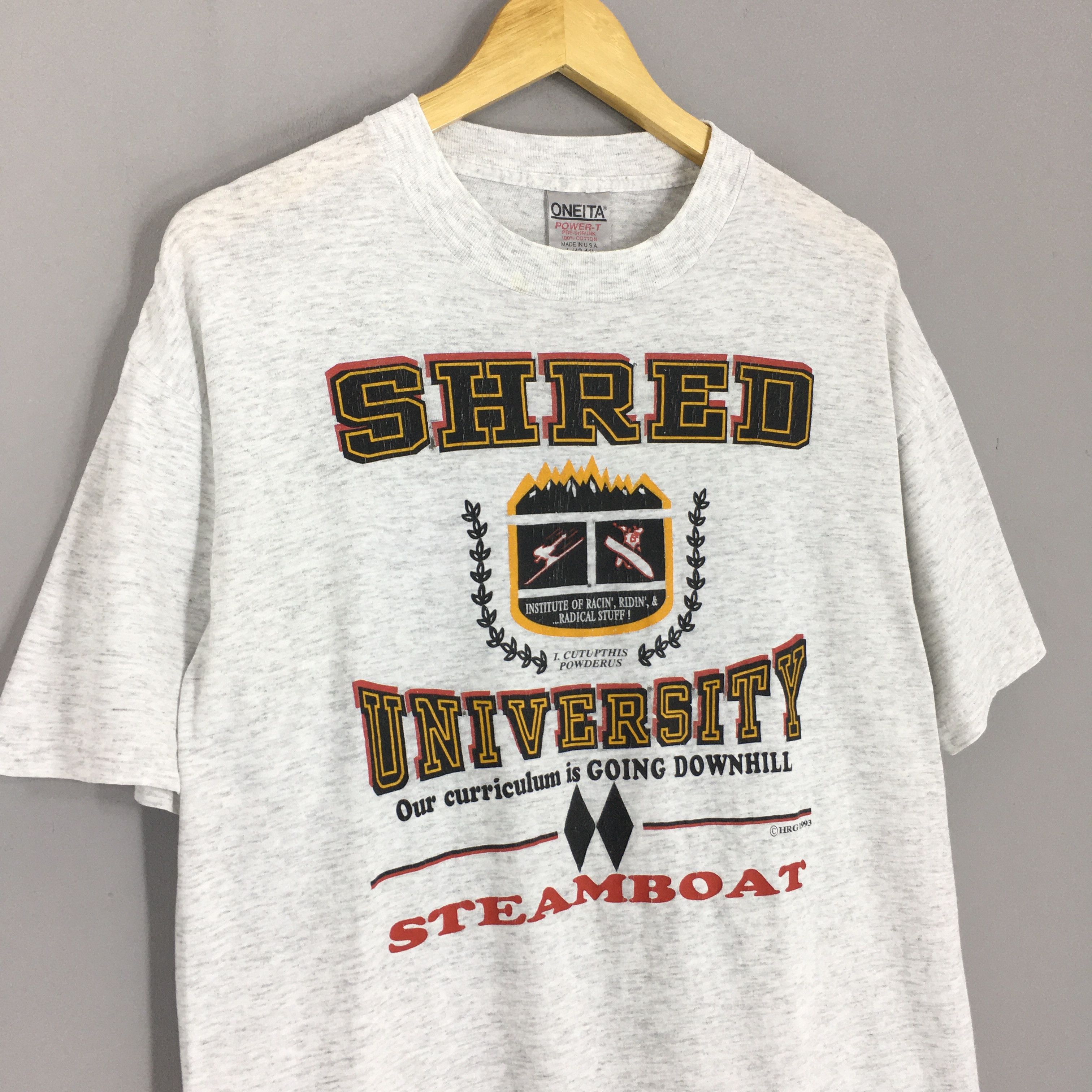 Vintage Vintage 90s SHRED University Gray T Shirt Large Size US L / EU 52-54 / 3 - 3 Thumbnail
