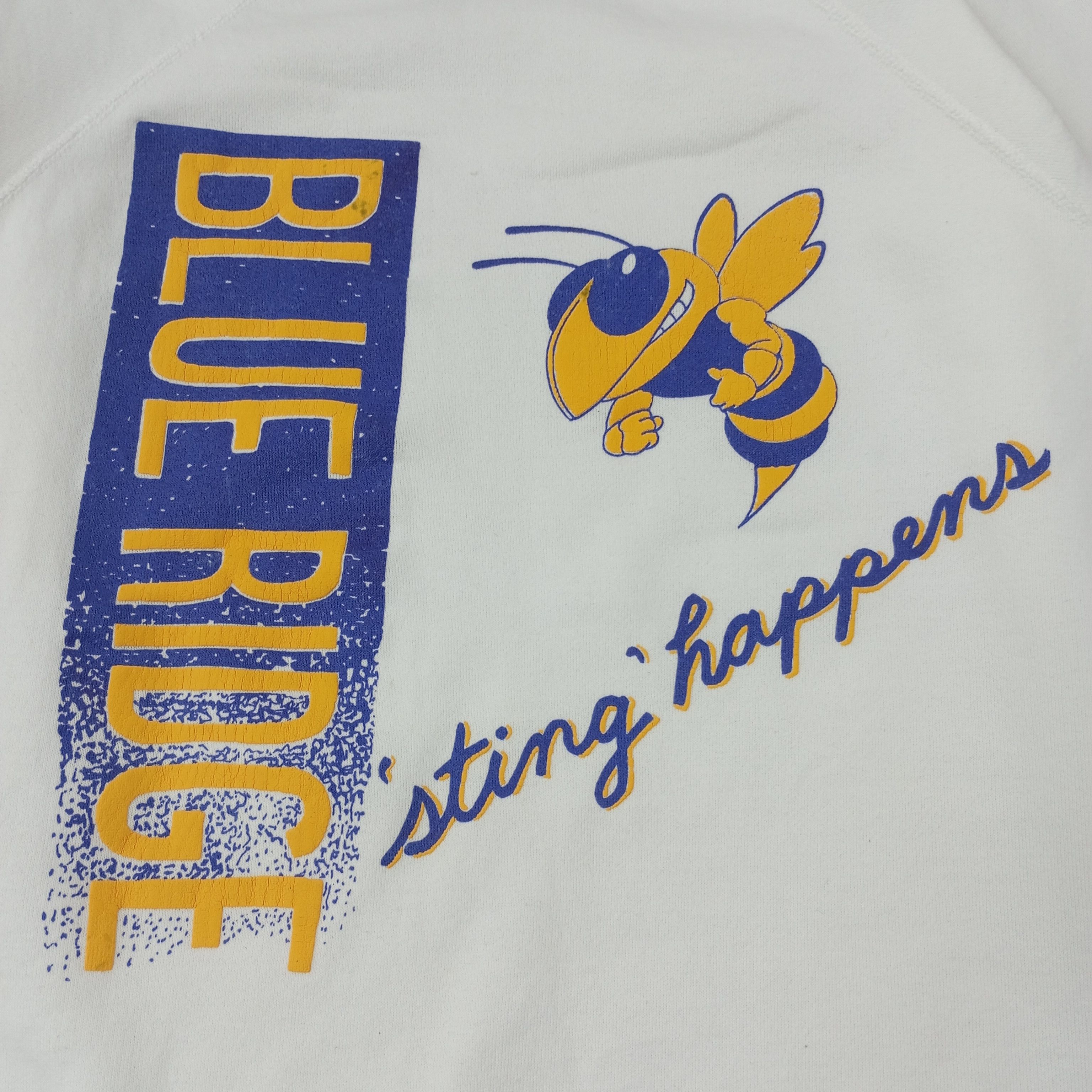 Vintage Blue Ridge Vintage Sweatshirt c222n8 Size US M / EU 48-50 / 2 - 2 Thumbnail