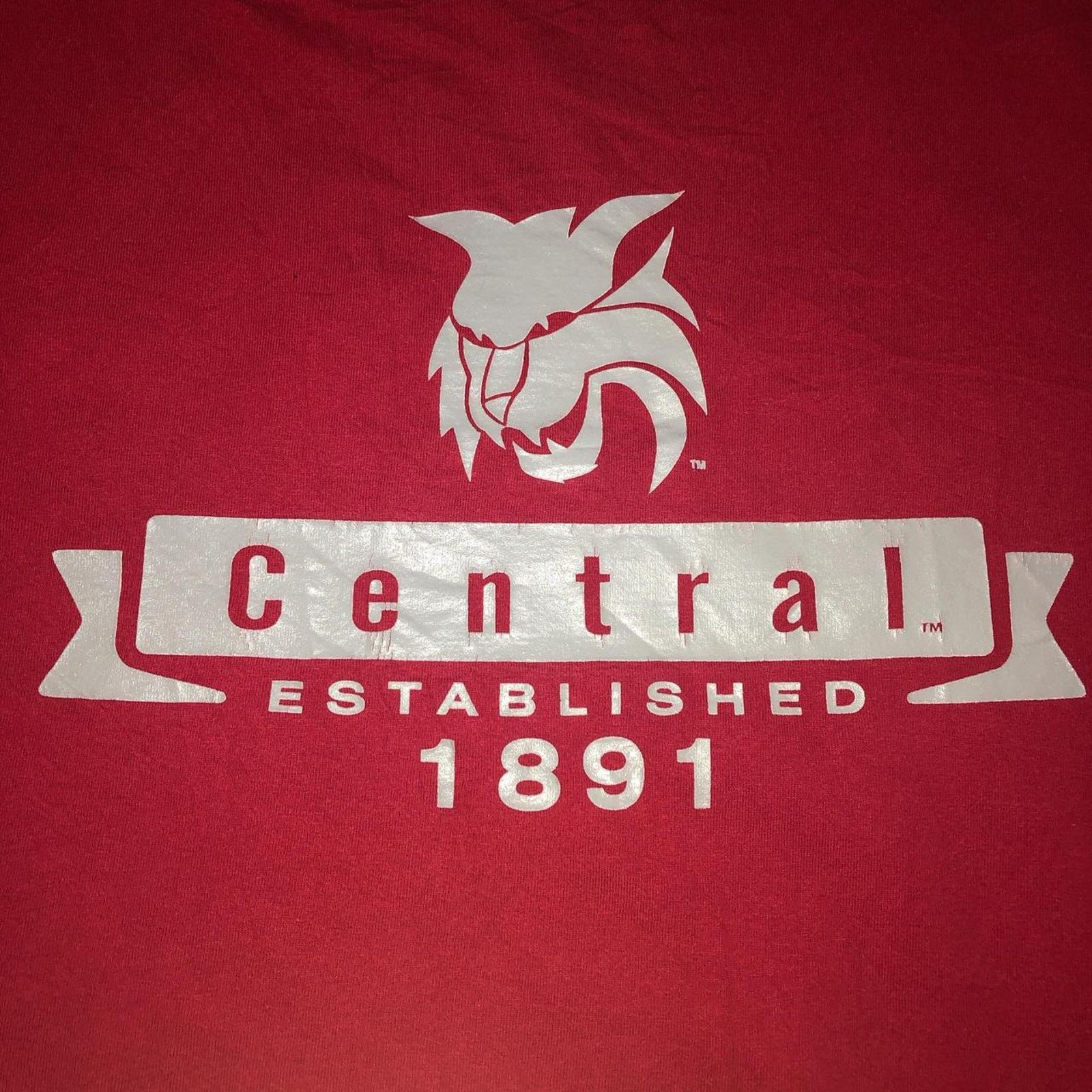 Other Burgundy ‘Central’ Wildcat Graphic Tee Size US XL / EU 56 / 4 - 3 Thumbnail