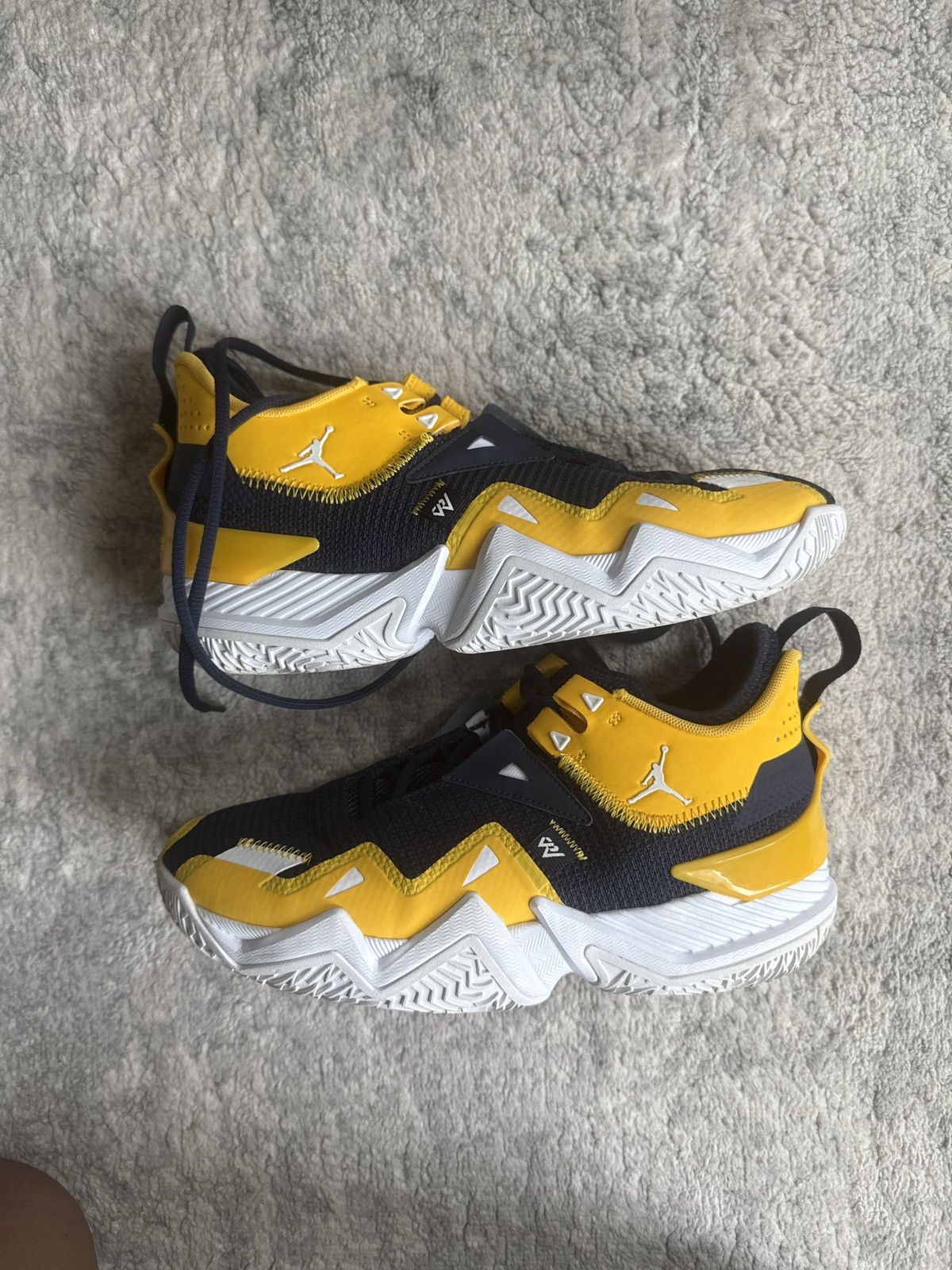 Jordan Brand Michigan PE’s Size US 8 / EU 41 - 1 Thumbnail