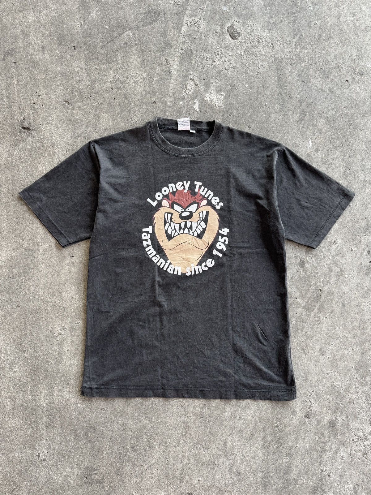 Vintage 90’s Taz Mania tshirt