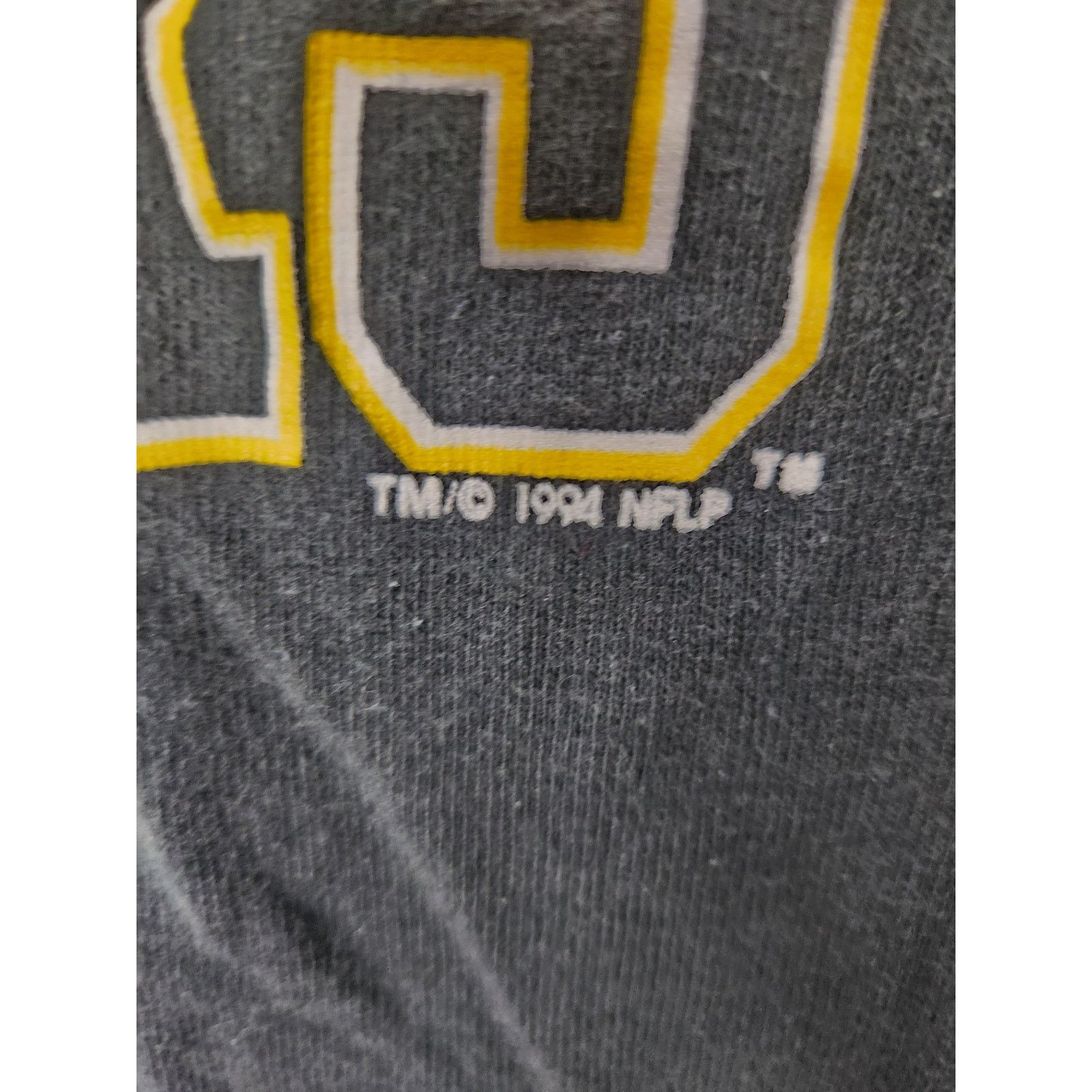 Champion Vintage 1994 Champion Pittsburgh Steelers T Men's XL Size US XL / EU 56 / 4 - 3 Thumbnail