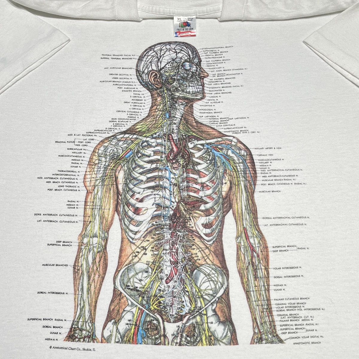Vintage 90’s Anatomical Chart Size US XL / EU 56 / 4 - 1 Thumbnail