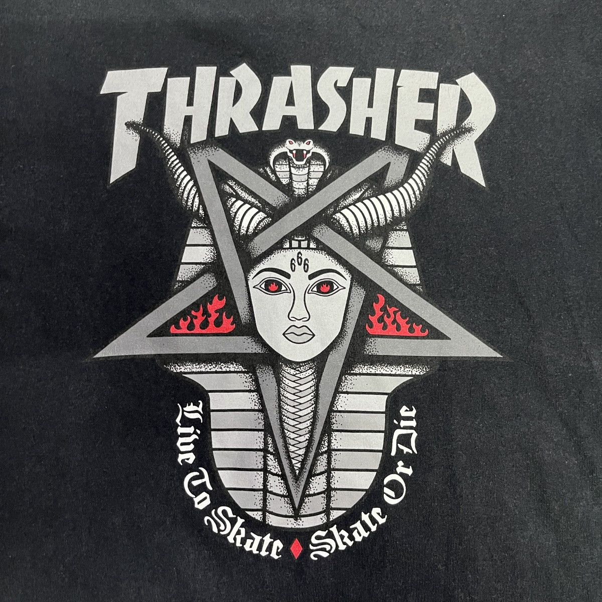 Thrasher Vintage Thrasher 666 T Shirt Size US S / EU 44-46 / 1 - 3 Thumbnail