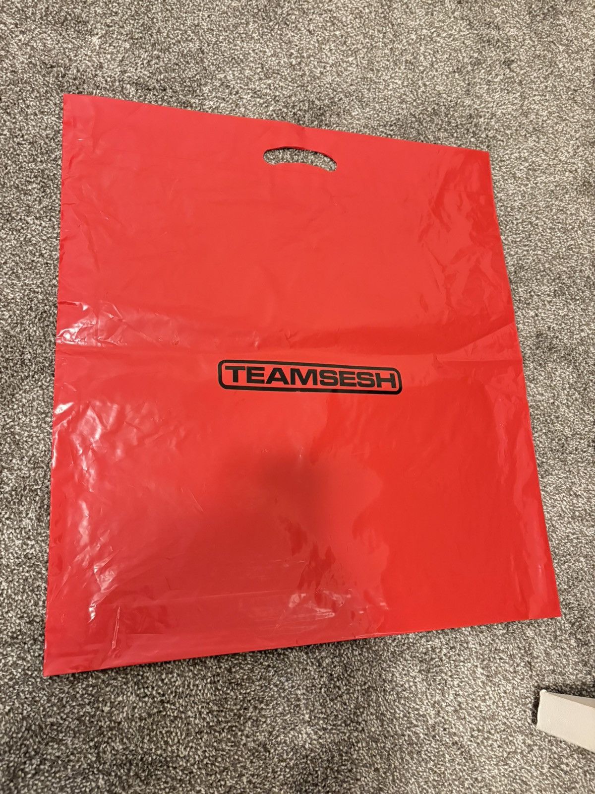 TeamSESH TeamSESH merch bag. Size ONE SIZE - 1 Preview
