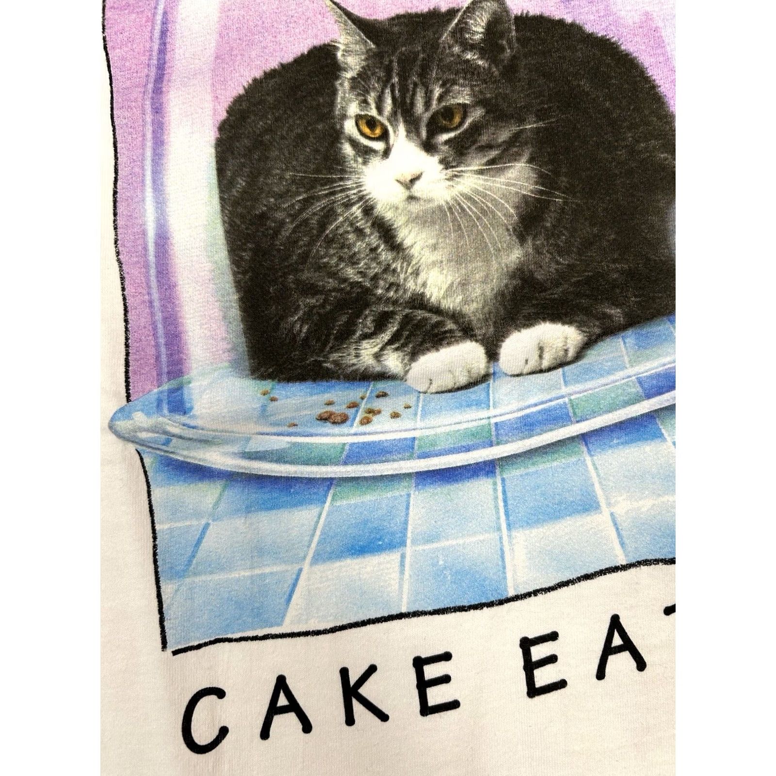 Hanes VINTAGE Richard Watherwax Cat Graphic Cake Eater Funny Cat Tee XL Humor Artist White Hanes Mens 90s Size US XL / EU 56 / 4 - 5 Thumbnail
